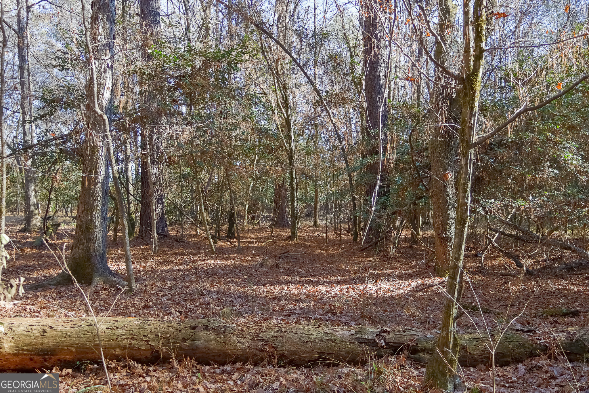 0 Limestone Road Cochran GA 31014