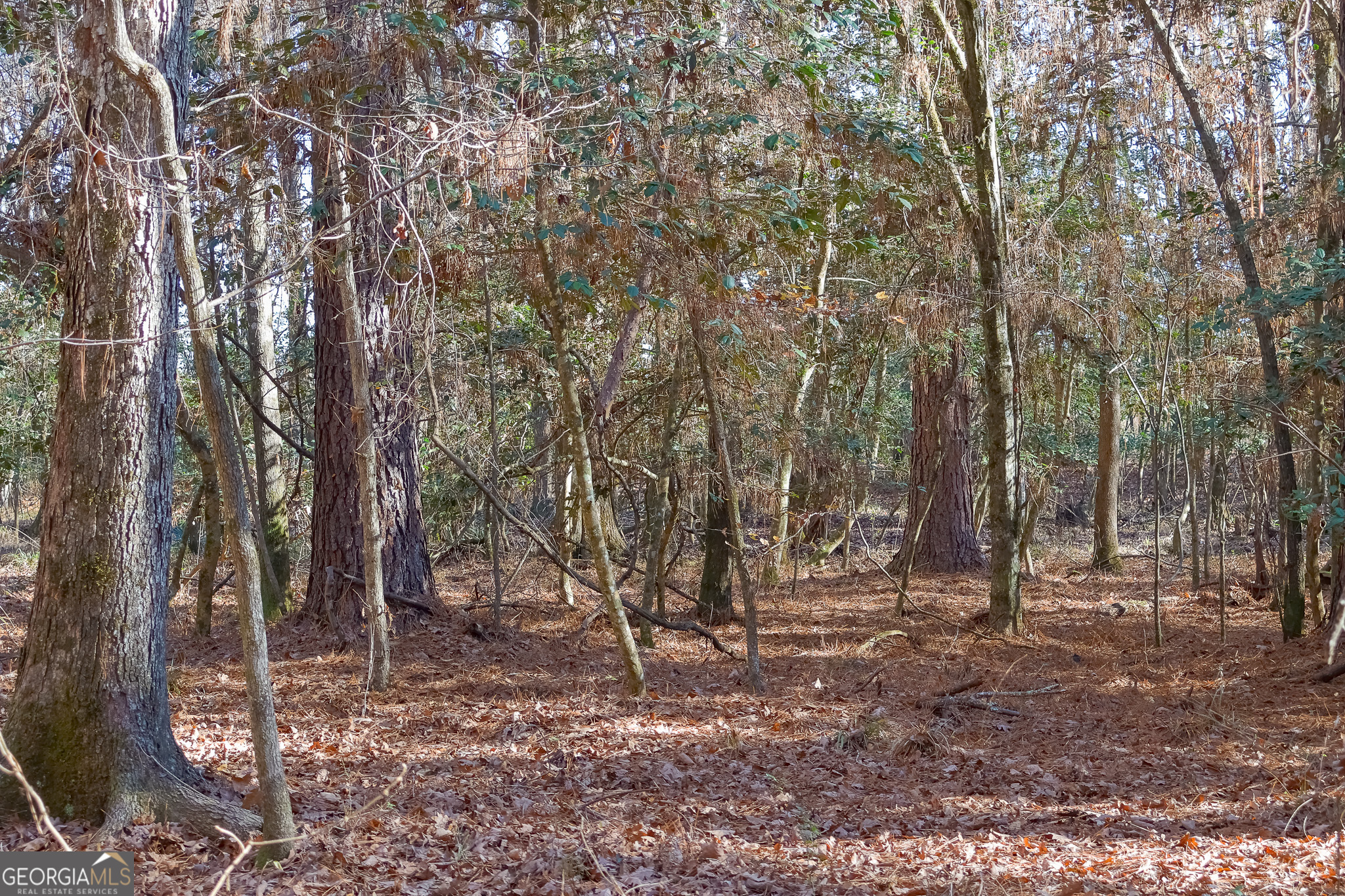 0 Limestone Road Cochran GA 31014