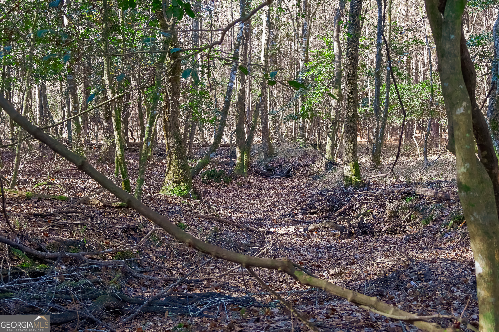 0 Limestone Road Cochran GA 31014