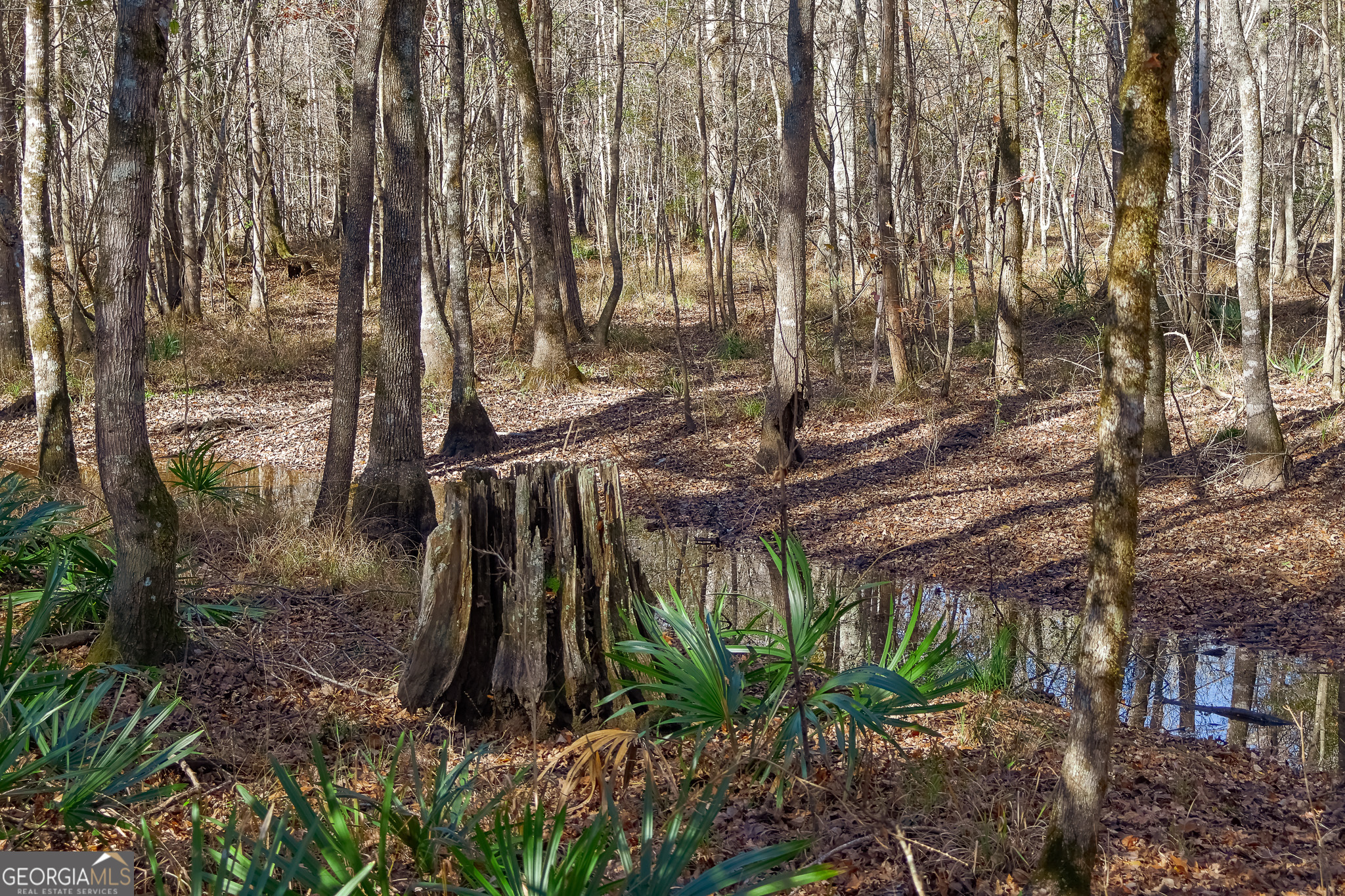 0 Limestone Road Cochran GA 31014