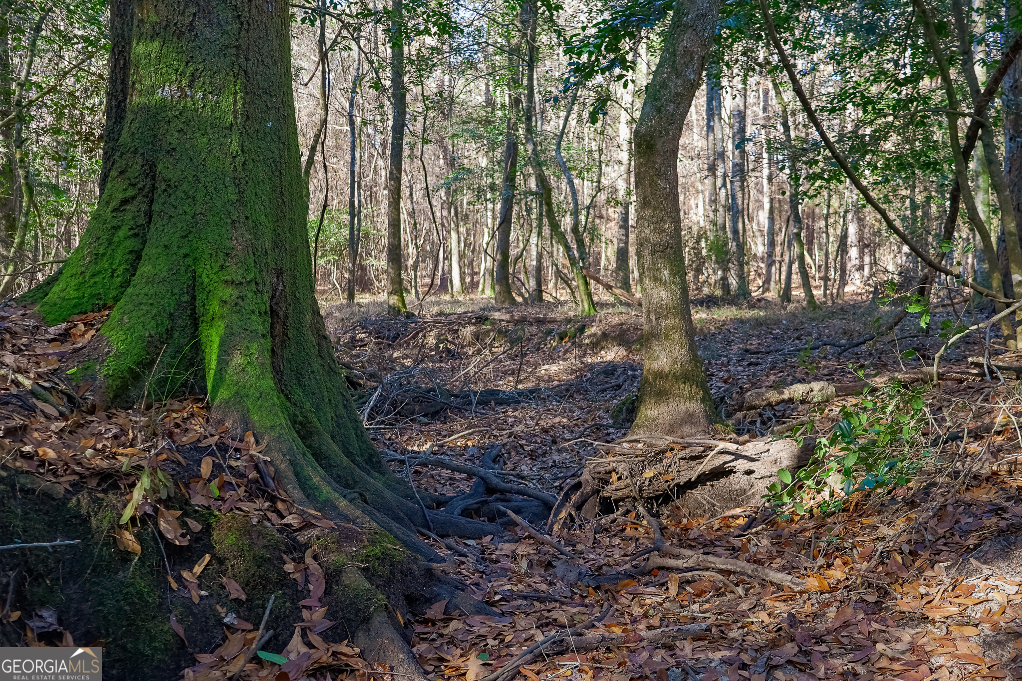 0 Limestone Road Cochran GA 31014