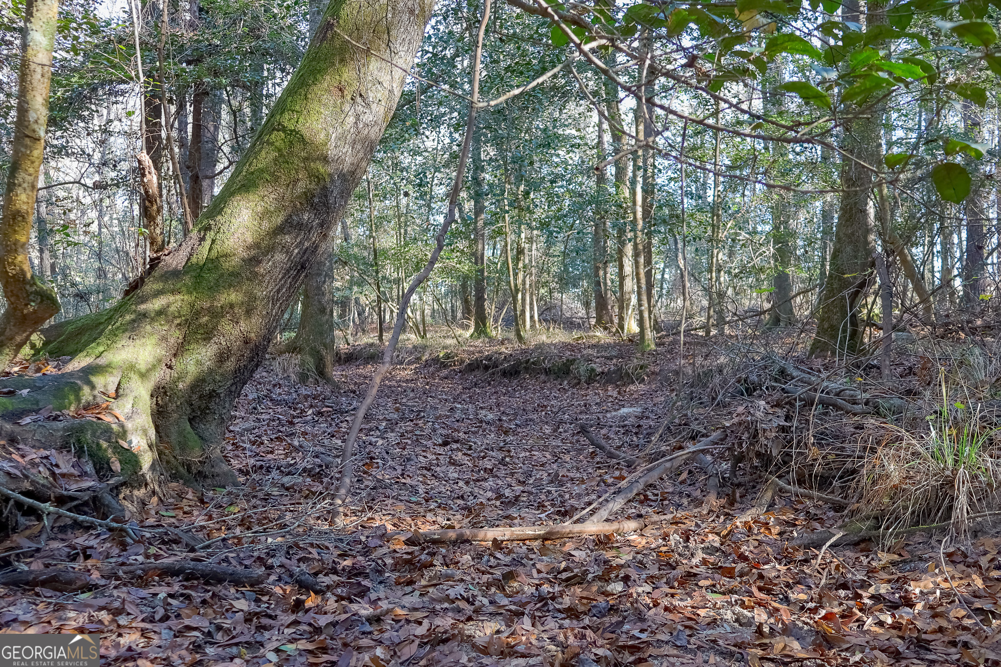 0 Limestone Road Cochran GA 31014