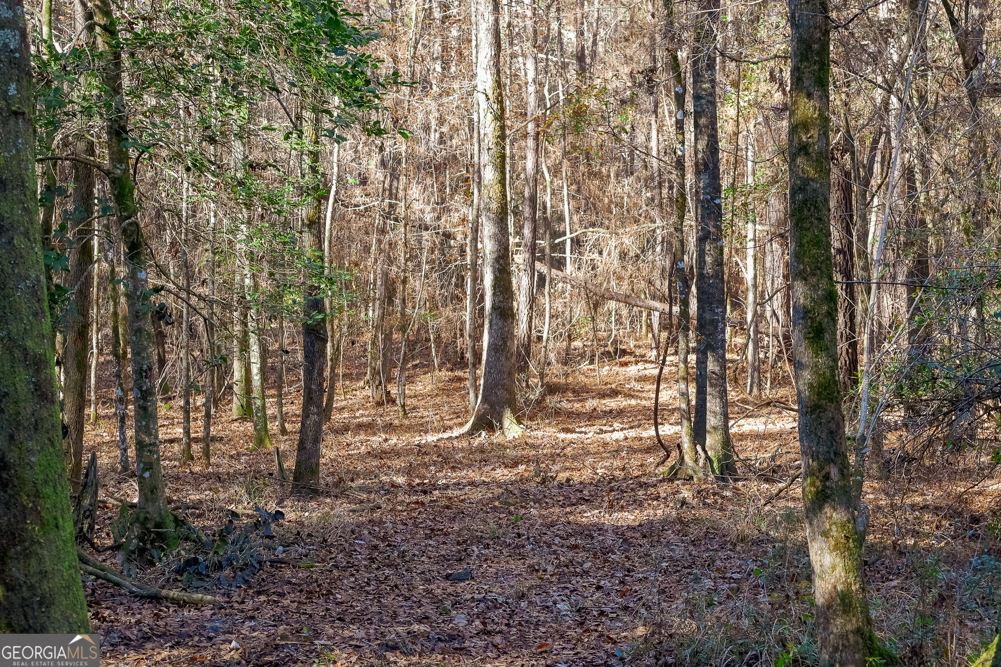 0 Limestone Road Cochran GA 31014