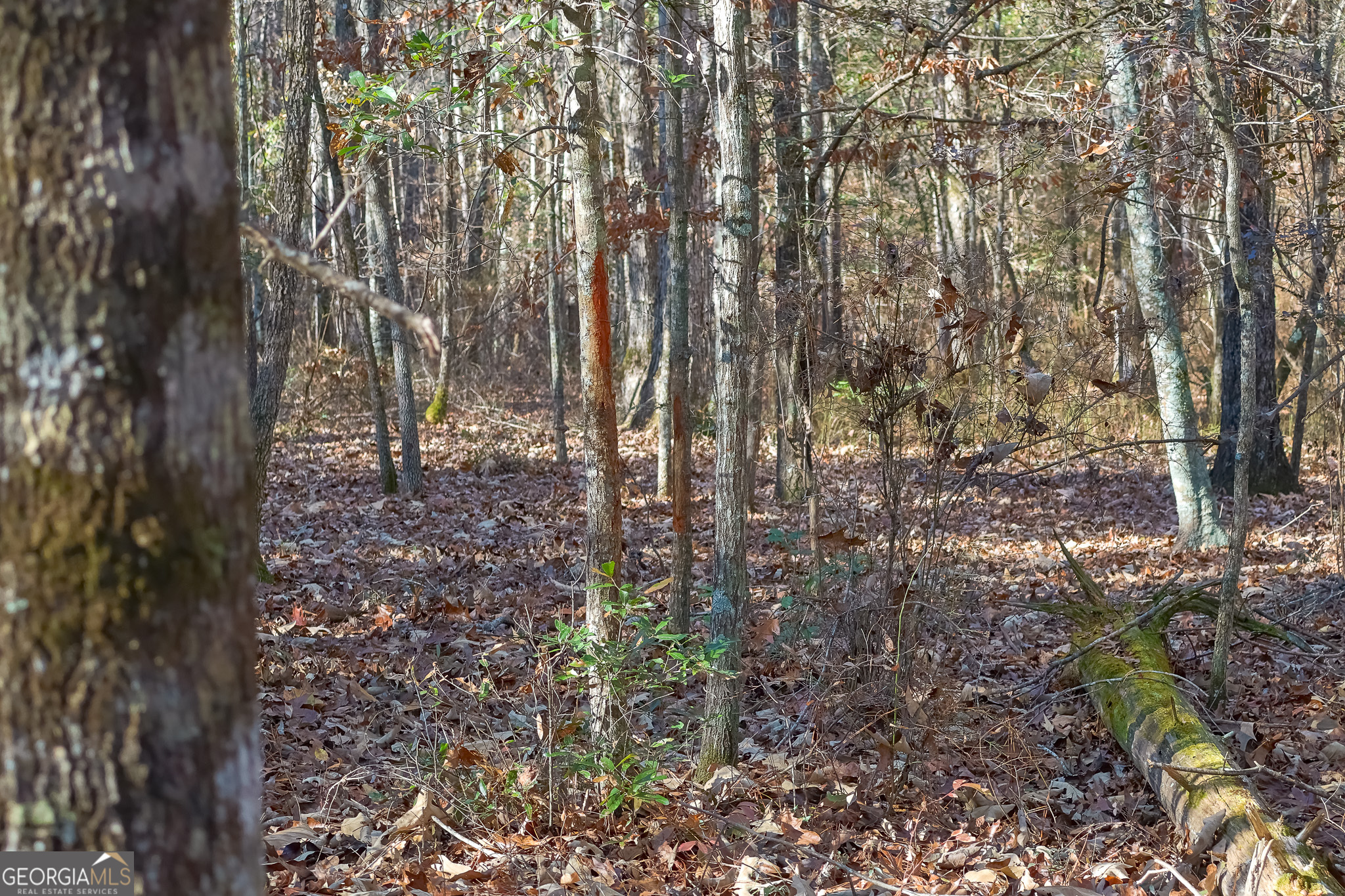 0 Limestone Road Cochran GA 31014