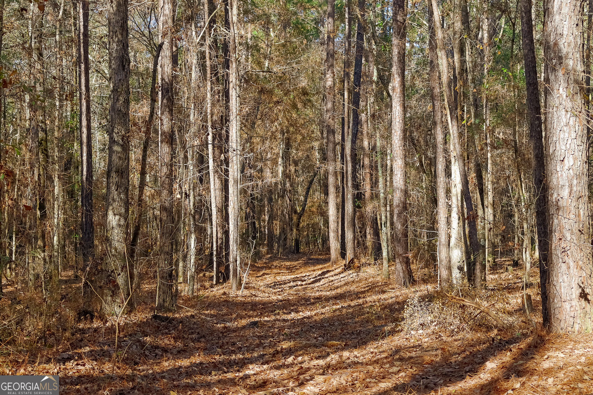 0 Limestone Road Cochran GA 31014