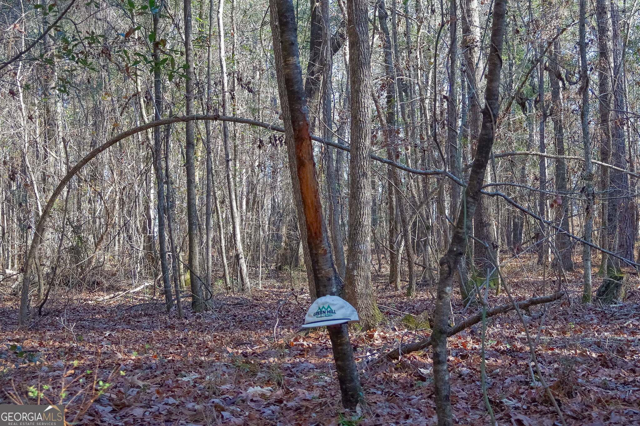 0 Limestone Road Cochran GA 31014
