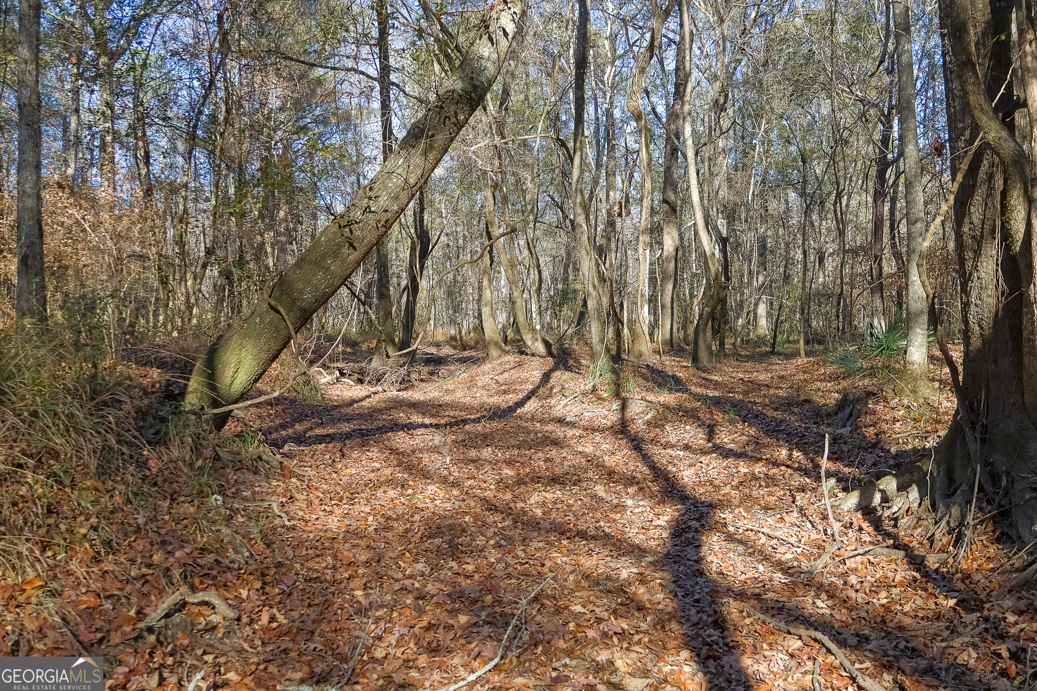 0 Limestone Road Cochran GA 31014