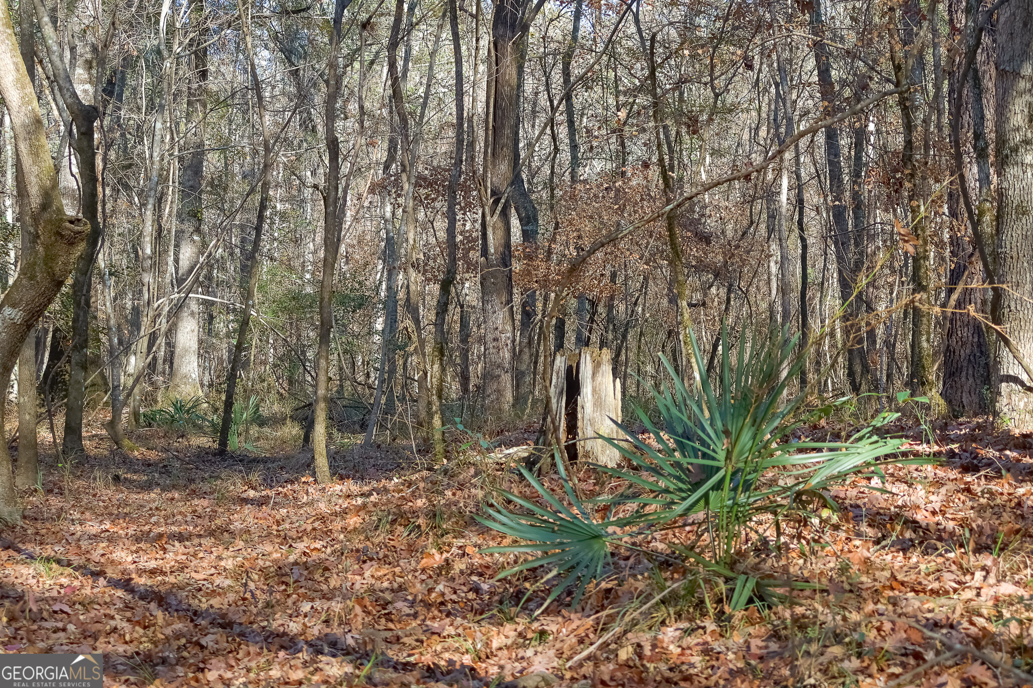 0 Limestone Road Cochran GA 31014