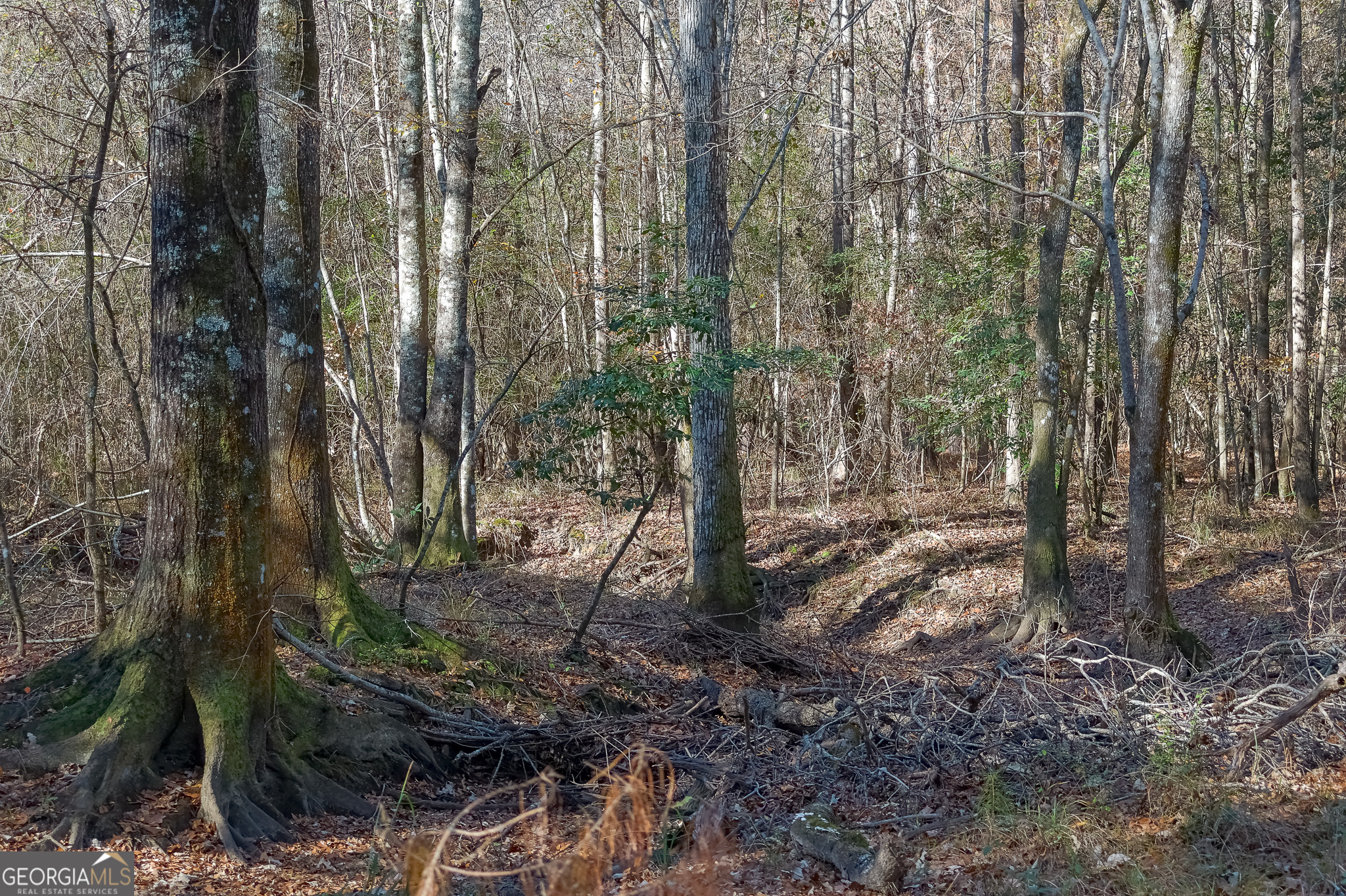 0 Limestone Road Cochran GA 31014