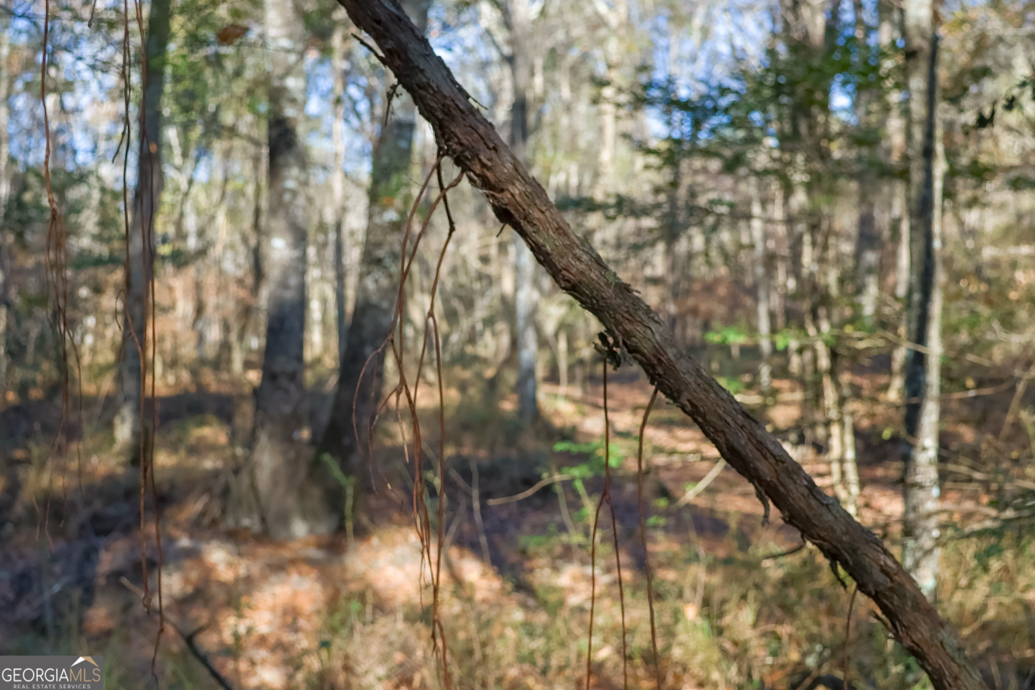 0 Limestone Road Cochran GA 31014
