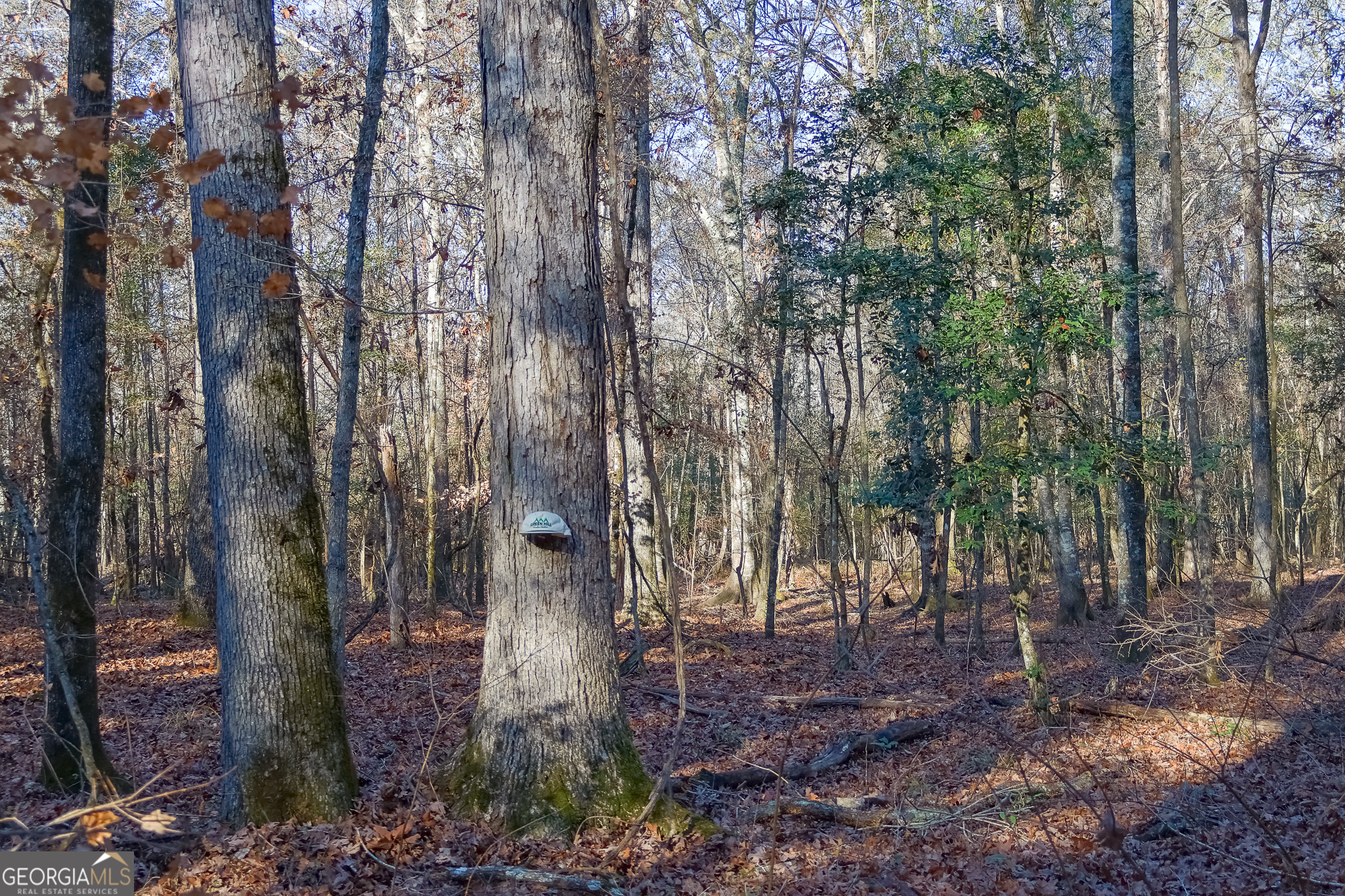 0 Limestone Road Cochran GA 31014