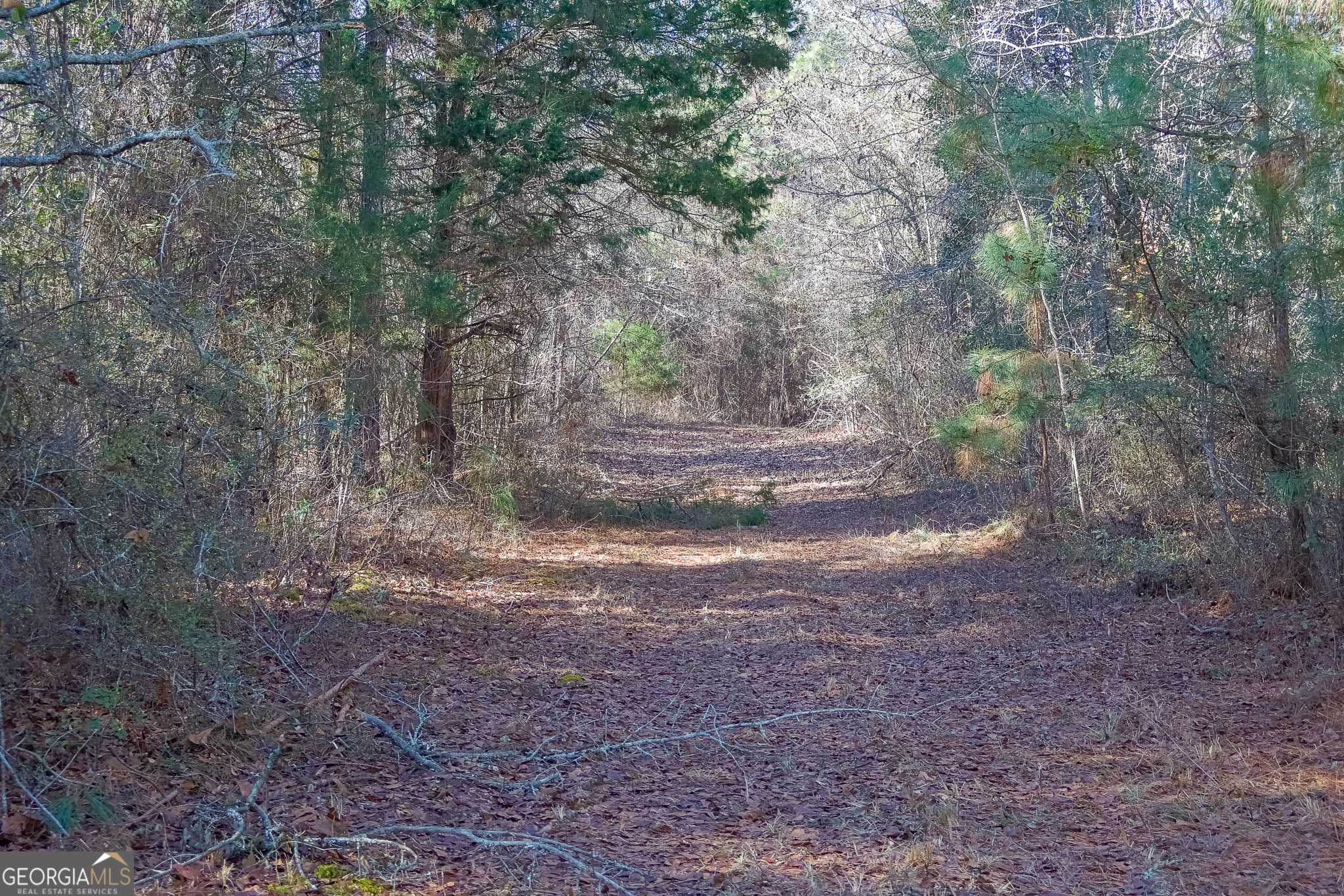 0 Limestone Road Cochran GA 31014