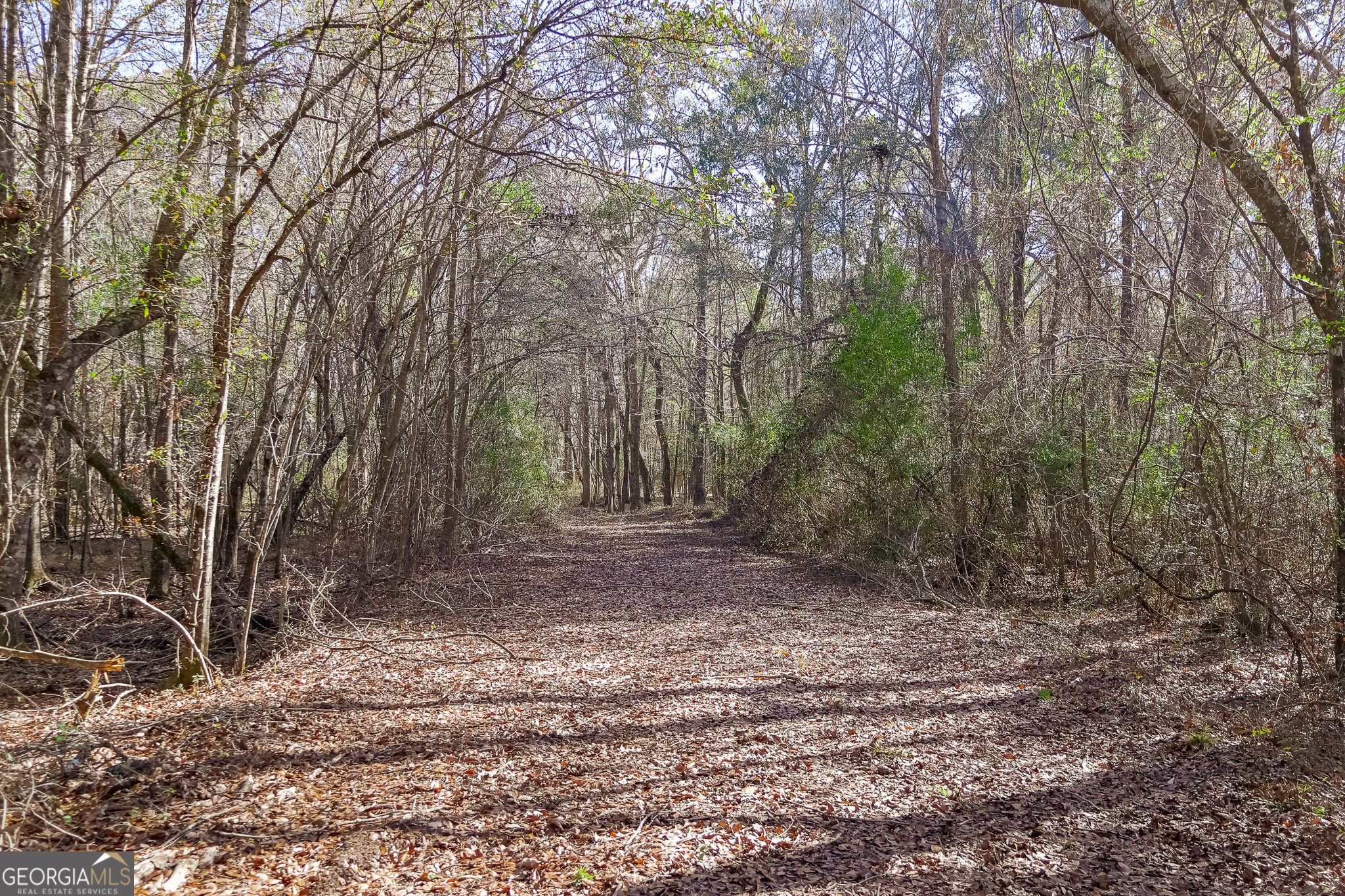 0 Limestone Road Cochran GA 31014