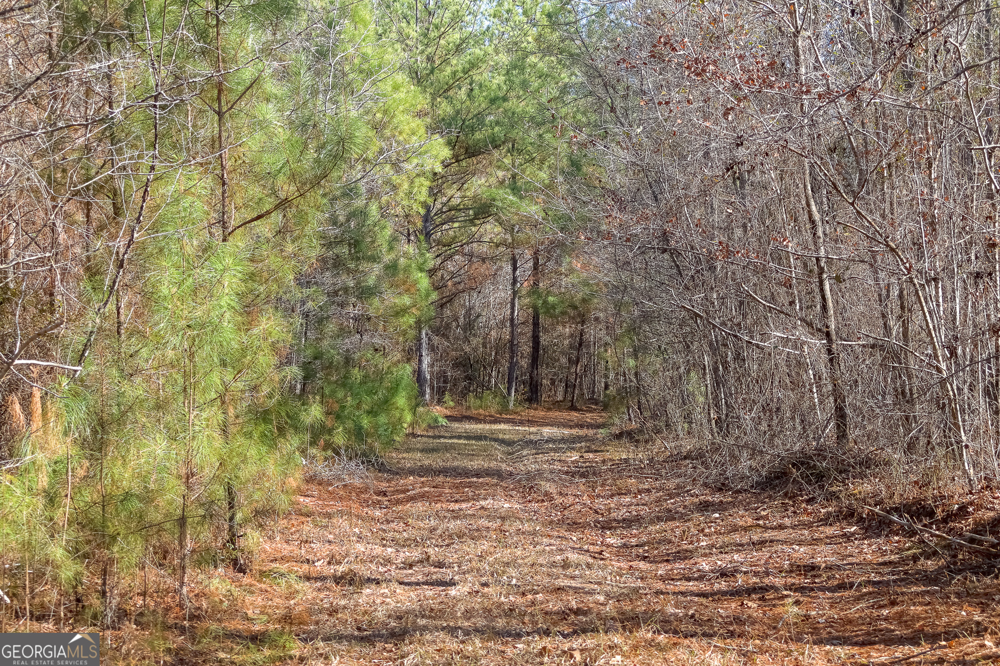 0 Limestone Road Cochran GA 31014