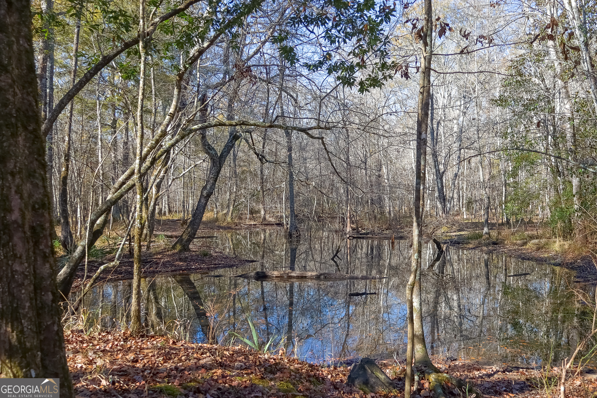 0 Limestone Road Cochran GA 31014