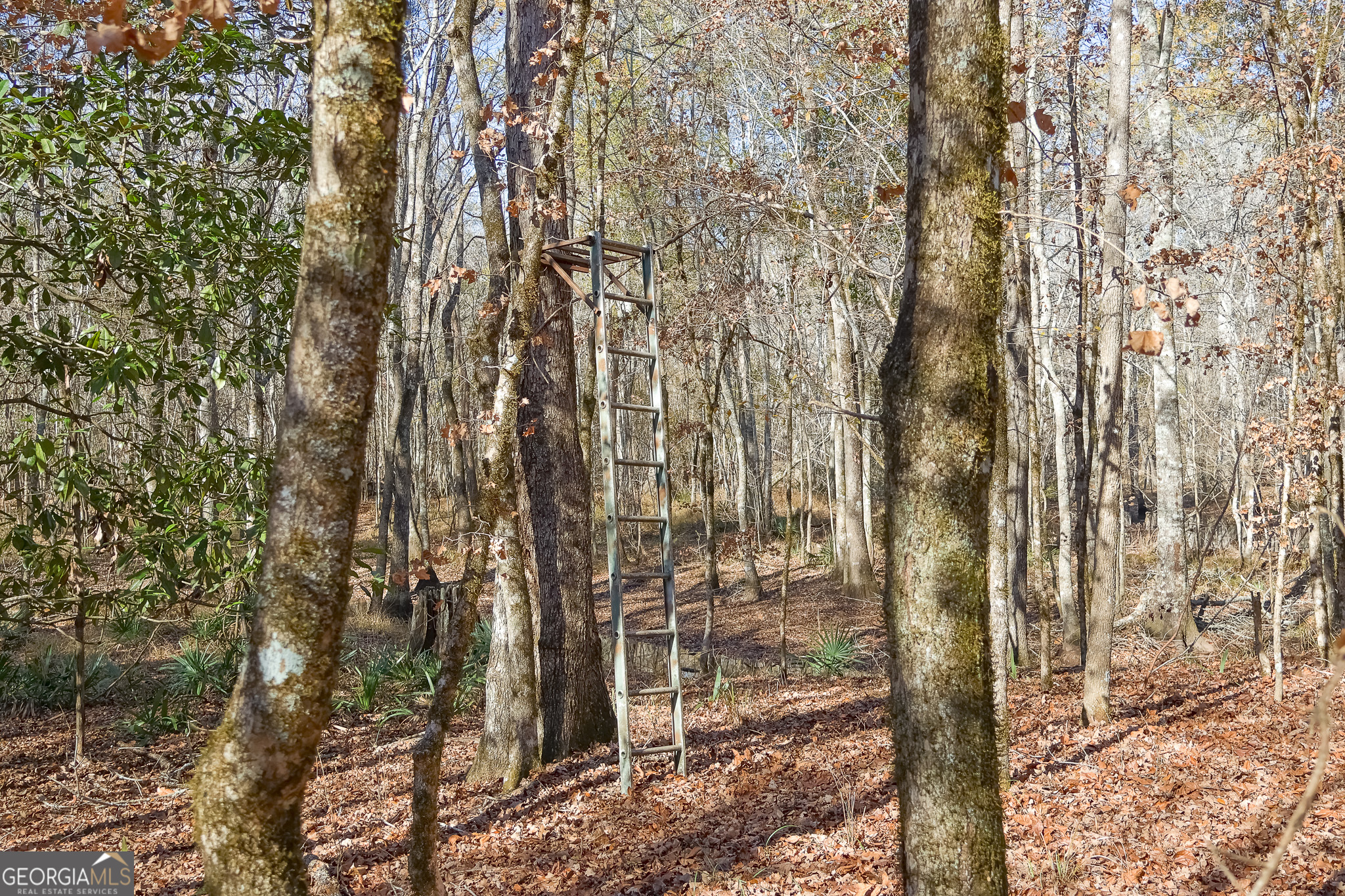 0 Limestone Road Cochran GA 31014