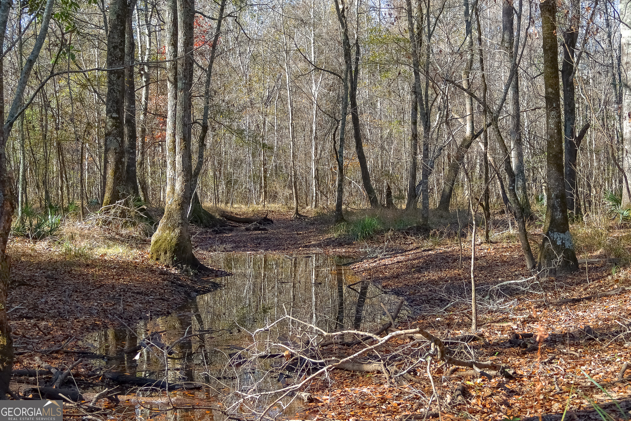 0 Limestone Road Cochran GA 31014