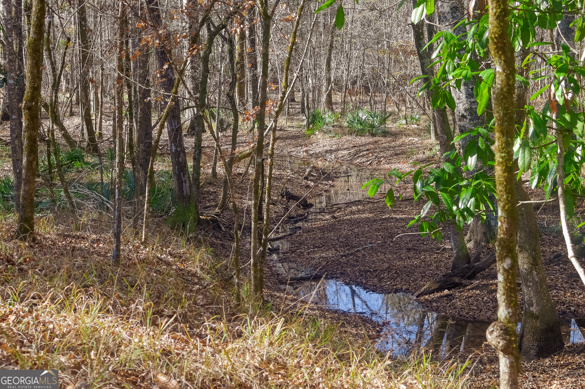 0 Limestone Road Cochran GA 31014