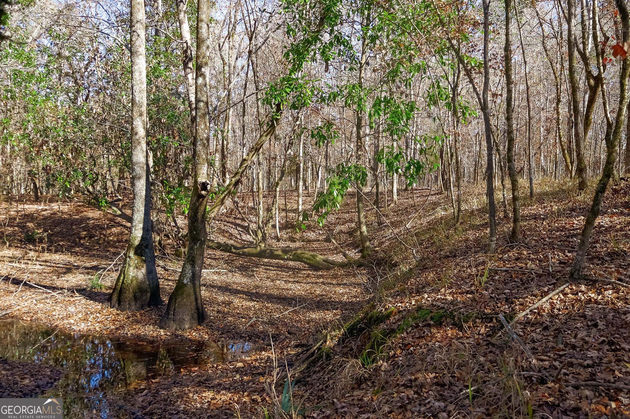 0 Limestone Road Cochran GA 31014