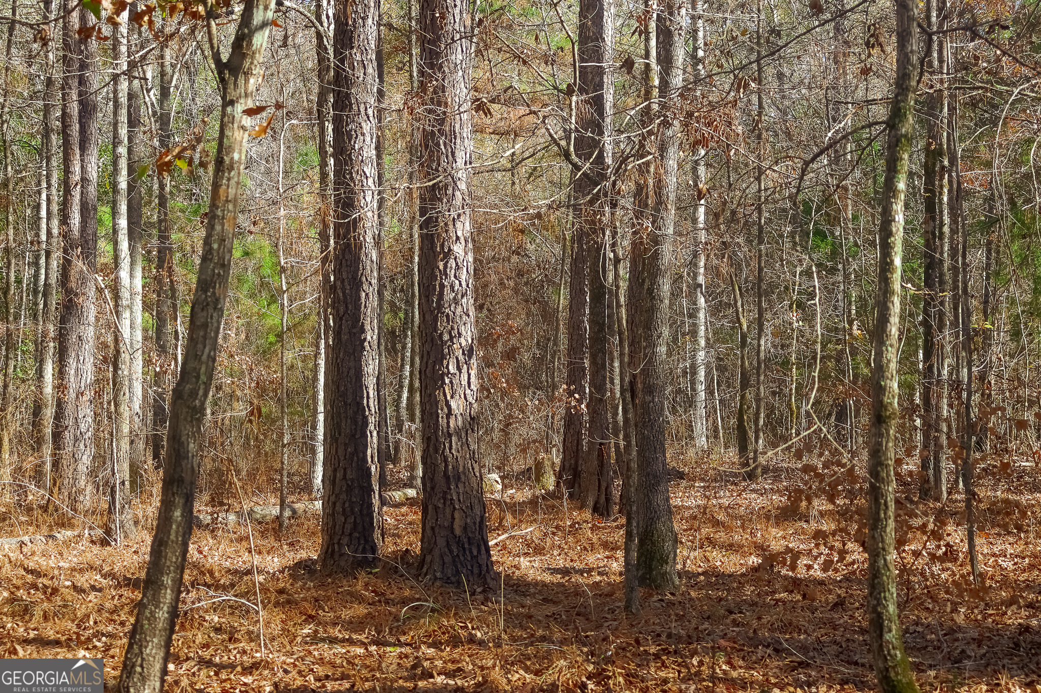 0 Limestone Road Cochran GA 31014