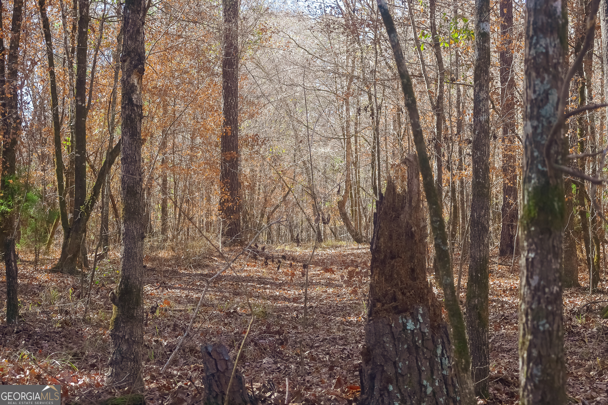0 Limestone Road Cochran GA 31014