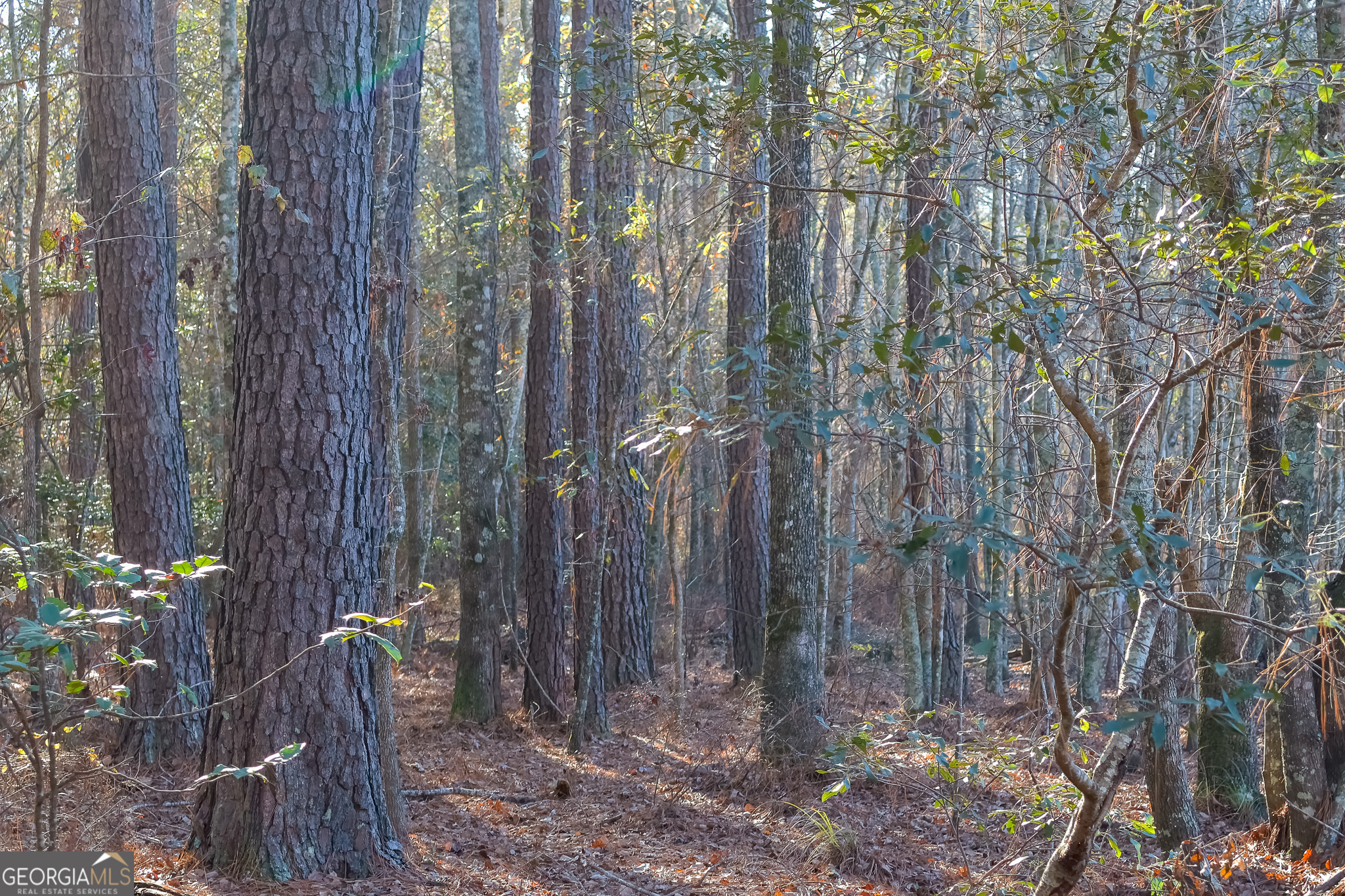 0 Limestone Road Cochran GA 31014