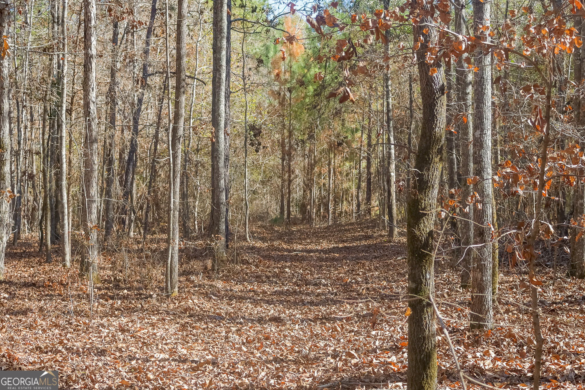 0 Limestone Road Cochran GA 31014