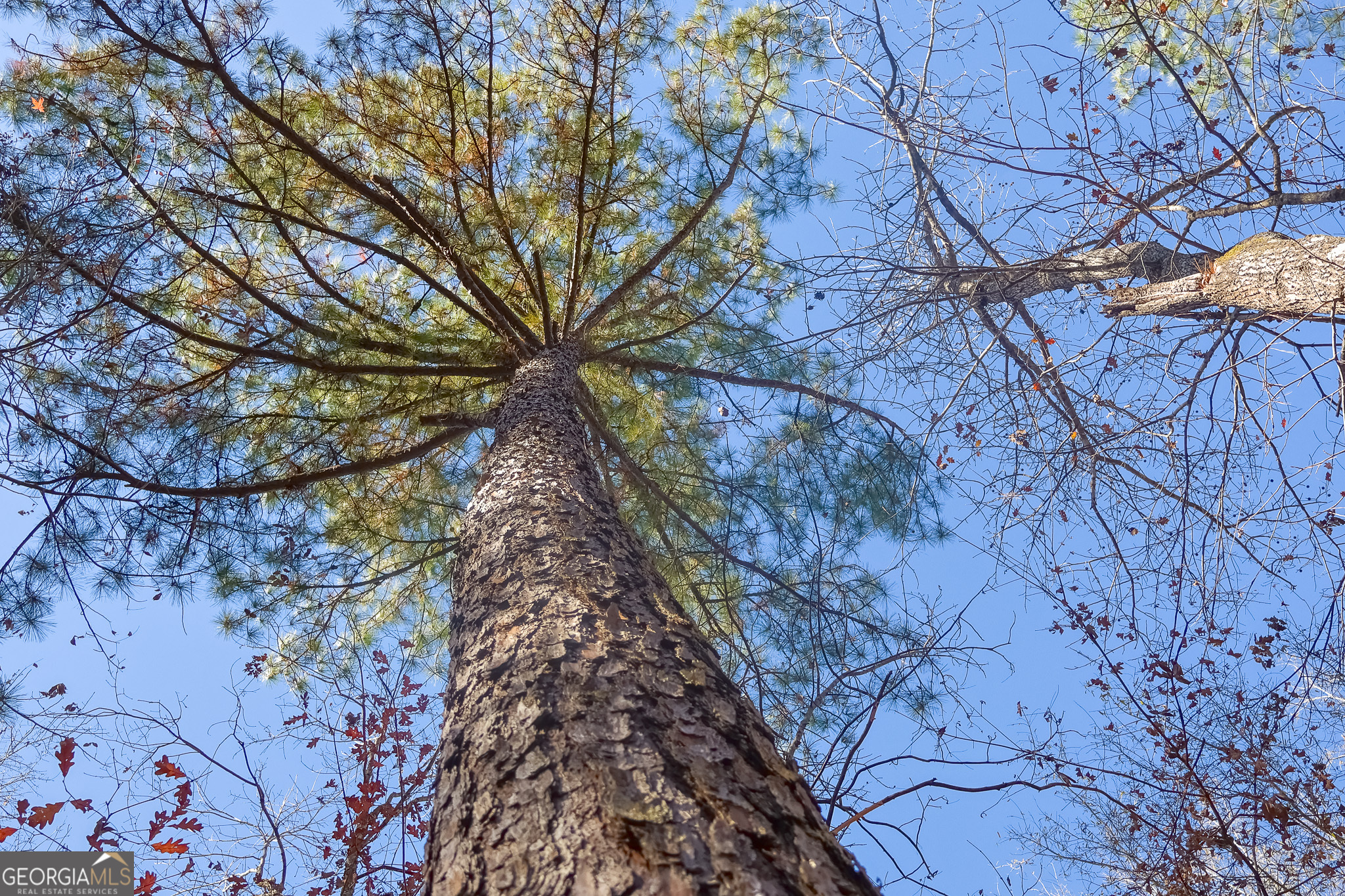 0 Limestone Road Cochran GA 31014