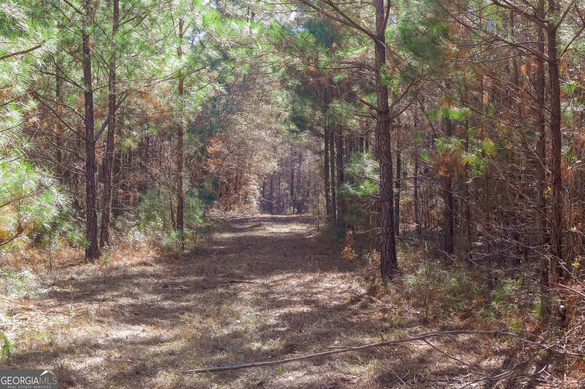 0 Limestone Road Cochran GA 31014