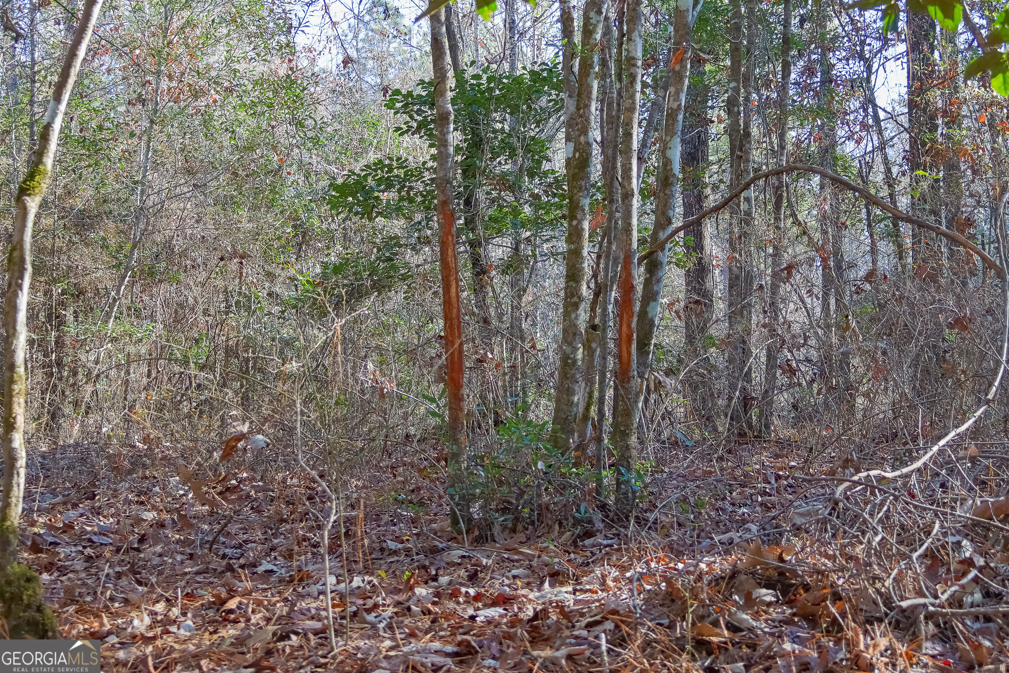 0 Limestone Road Cochran GA 31014