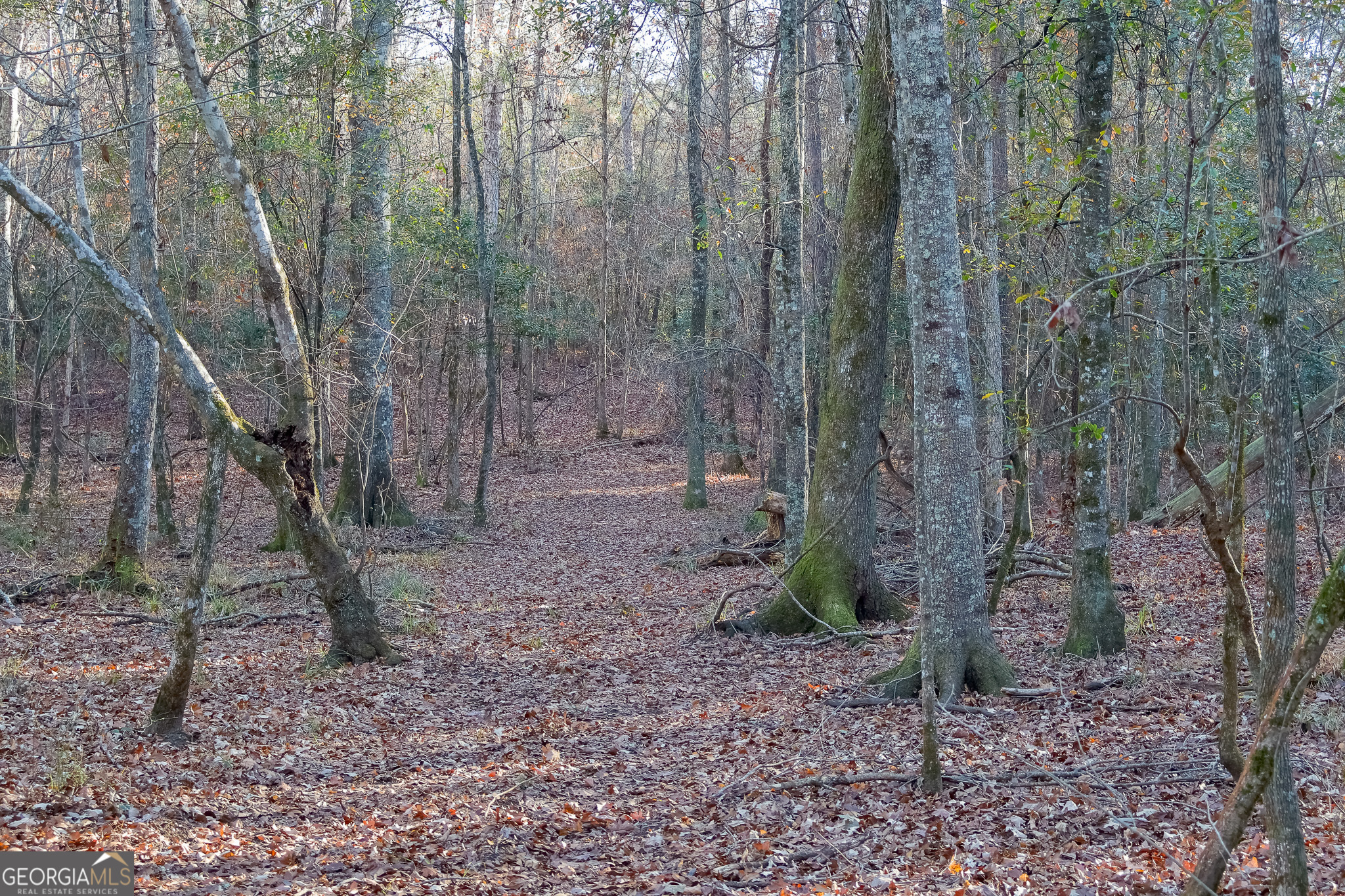 0 Limestone Road Cochran GA 31014