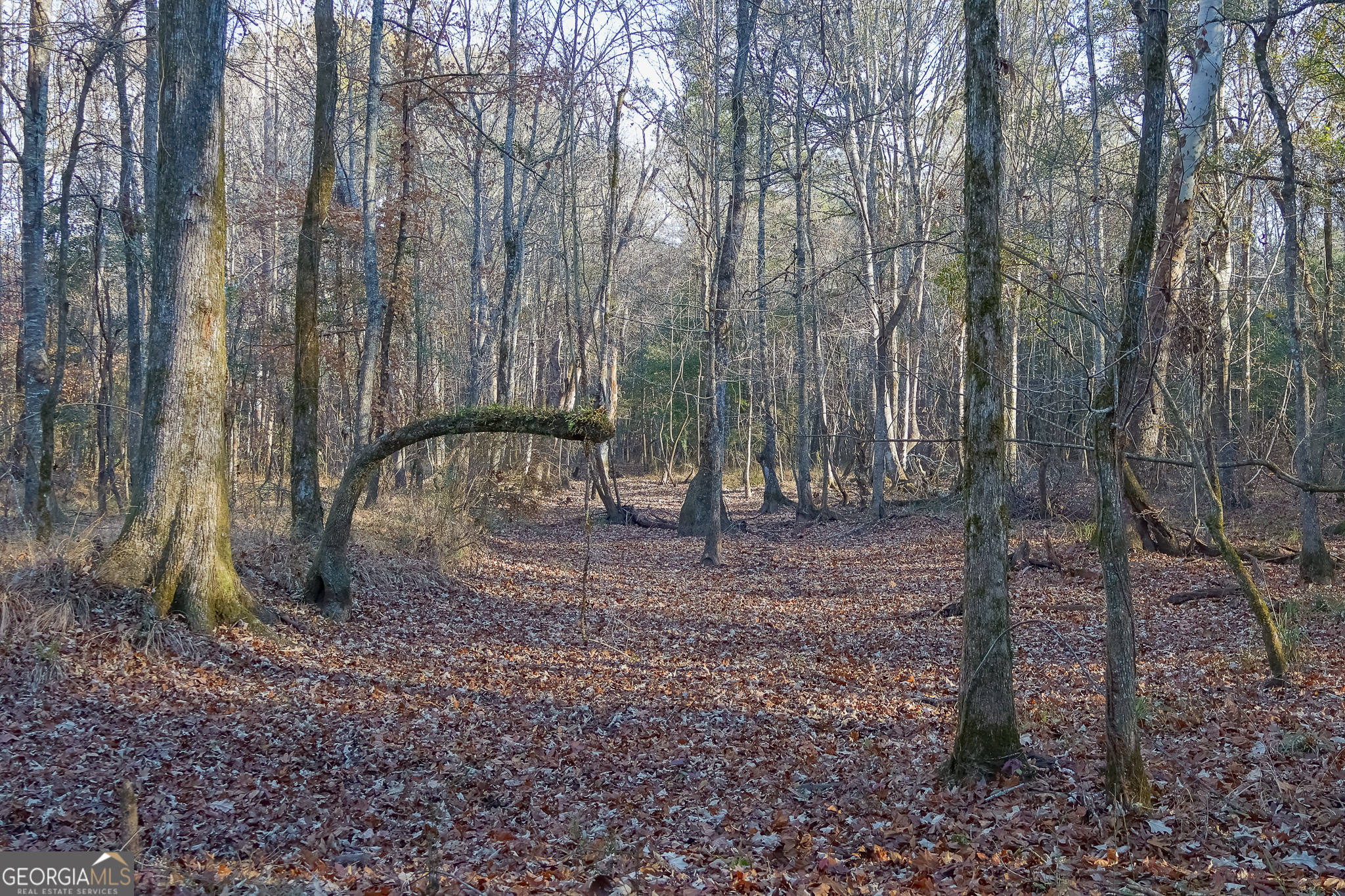 0 Limestone Road Cochran GA 31014