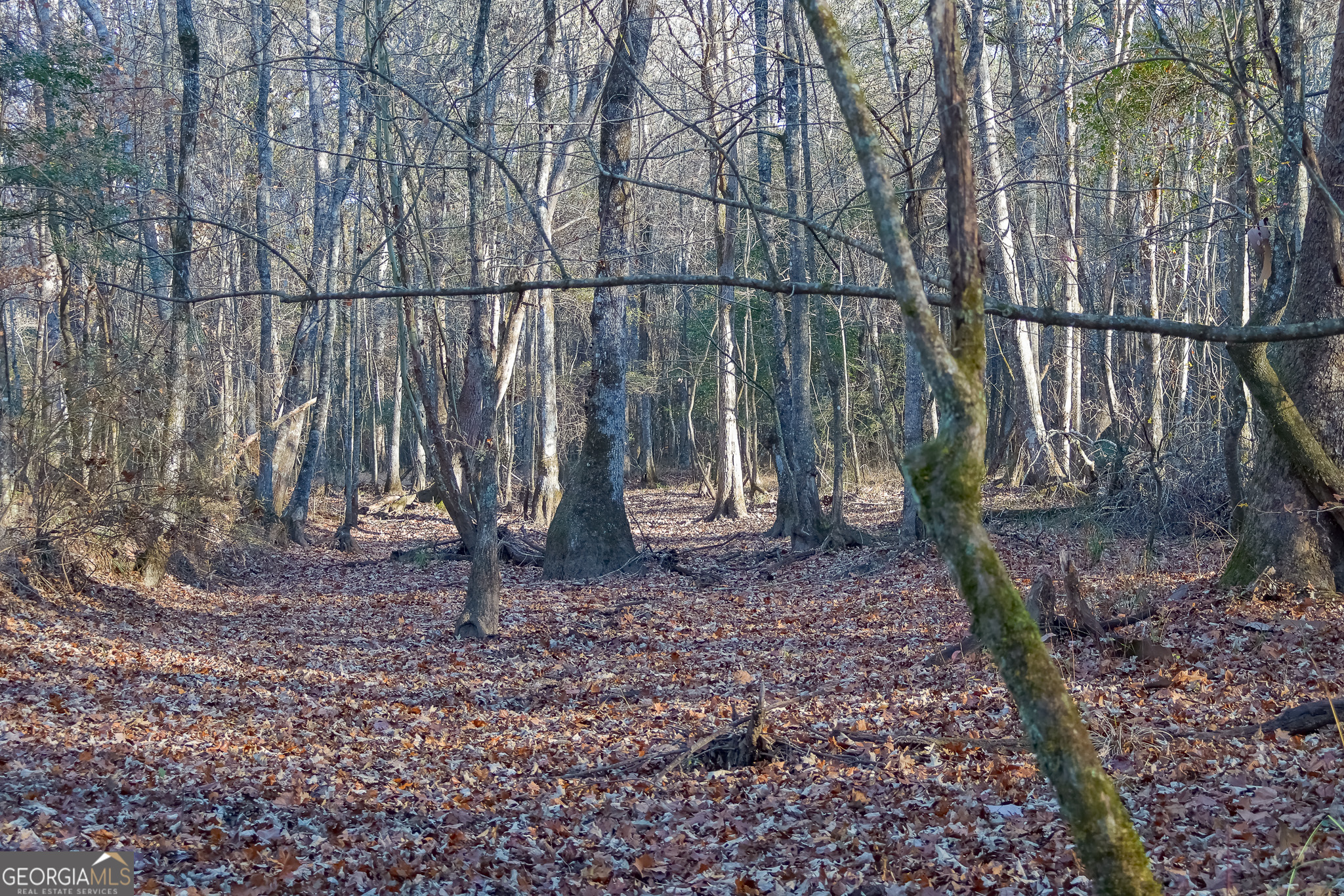 0 Limestone Road Cochran GA 31014