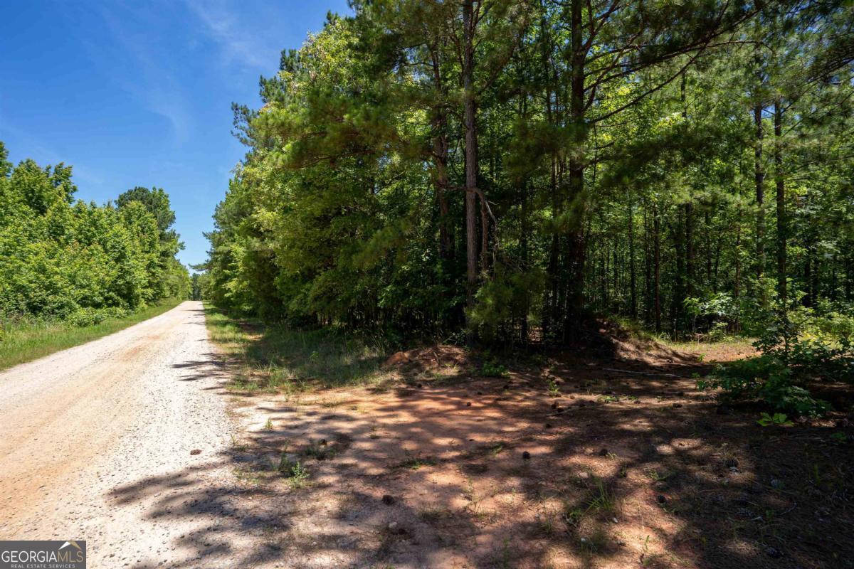 Lot 36 Marshall Road Buckhead GA 30625