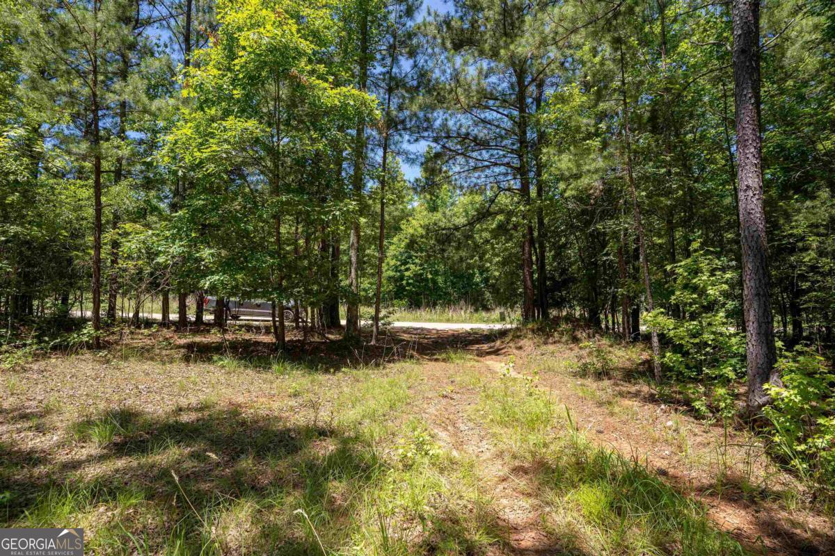 Lot 36 Marshall Road Buckhead GA 30625