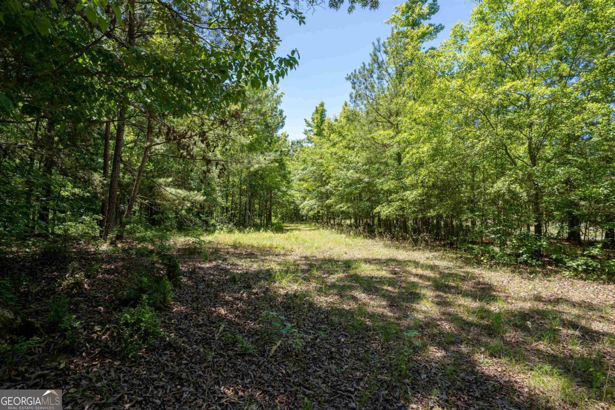 Lot 36 Marshall Road Buckhead GA 30625