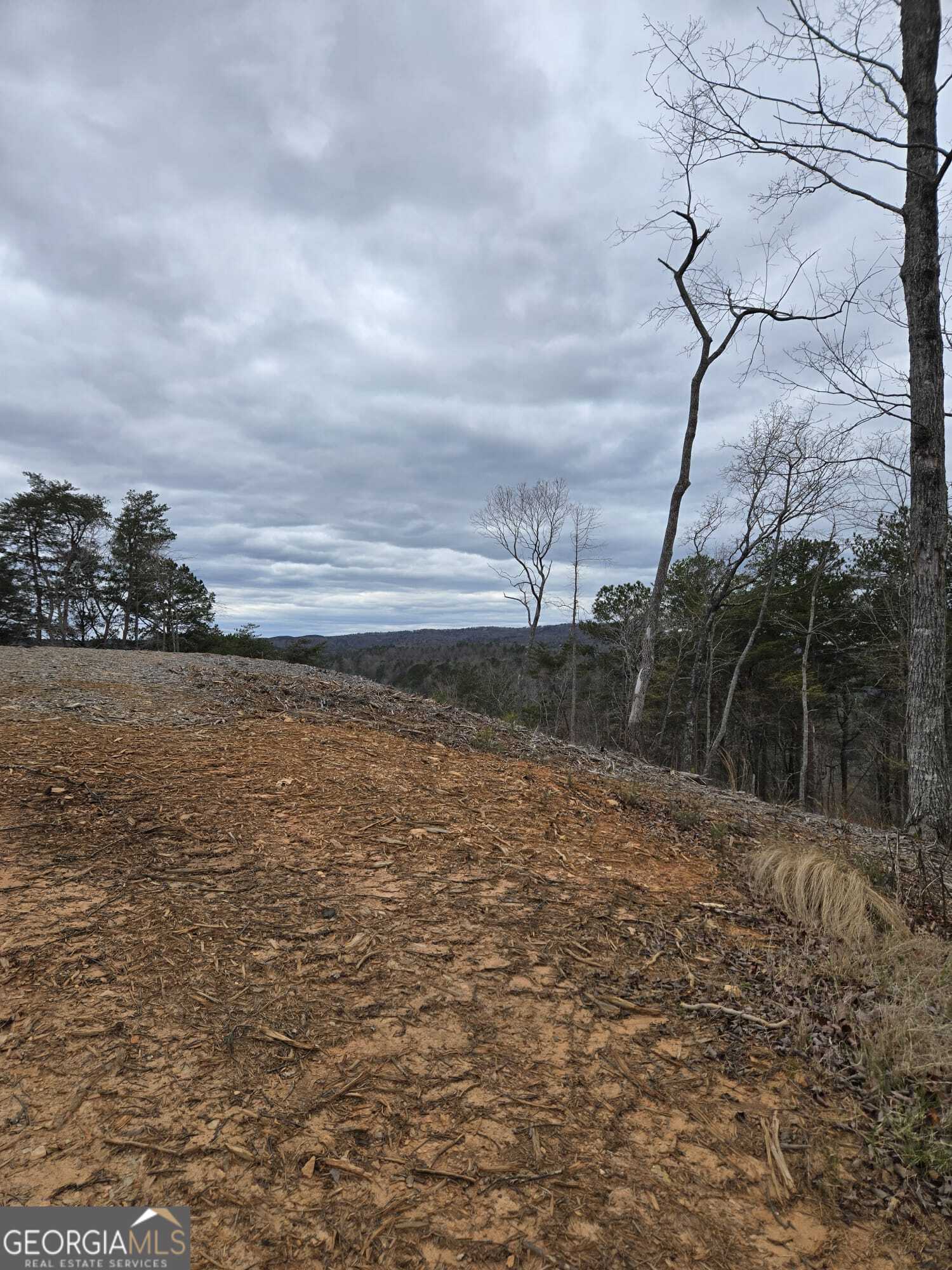 0 Canoe Way Talking Rock GA 30175