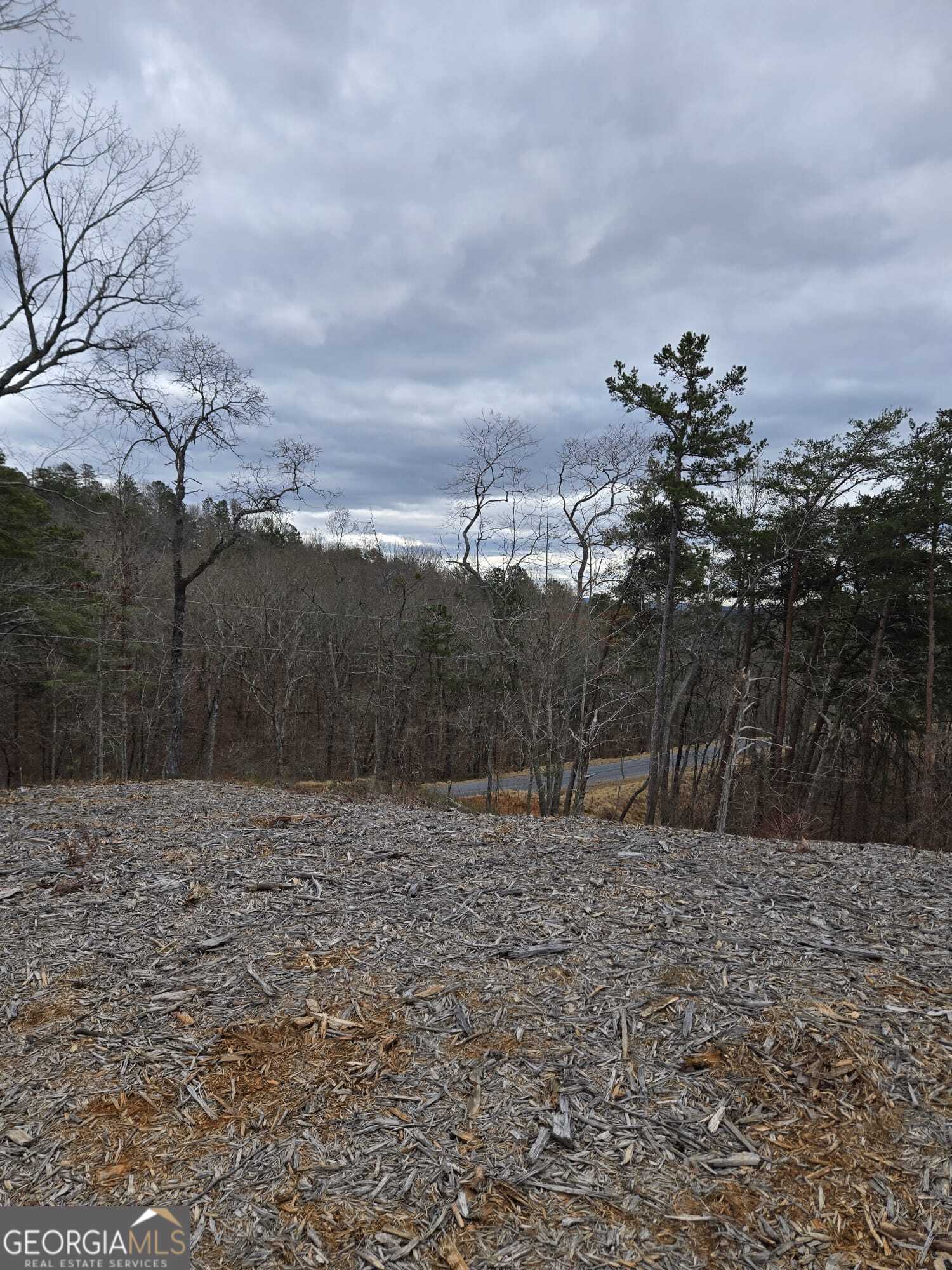 0 Canoe Way Talking Rock GA 30175
