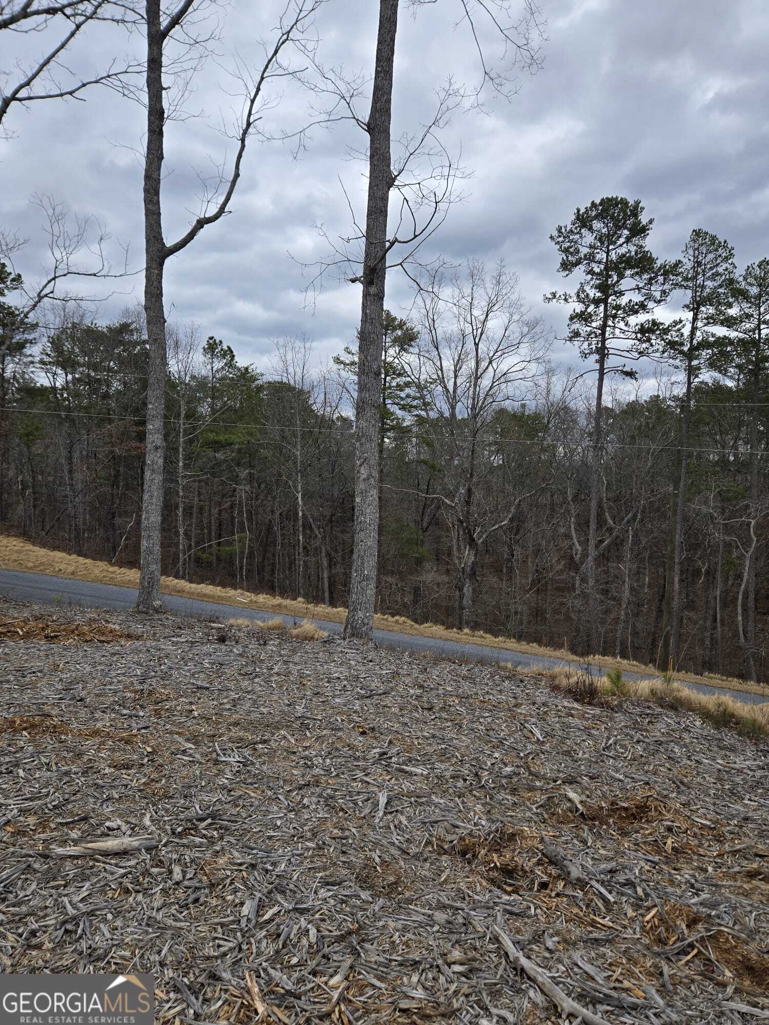 0 Canoe Way Talking Rock GA 30175