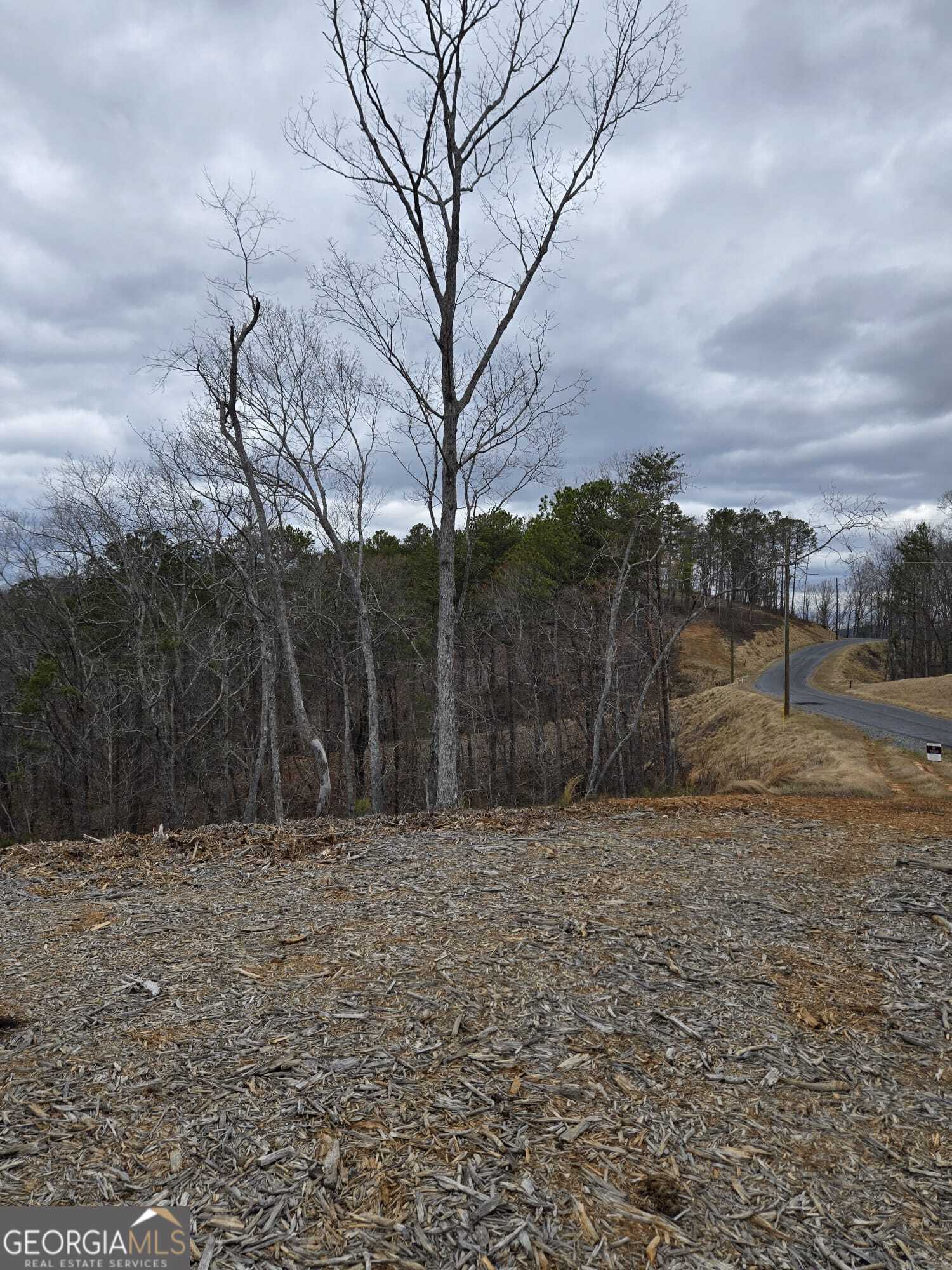 0 Canoe Way Talking Rock GA 30175