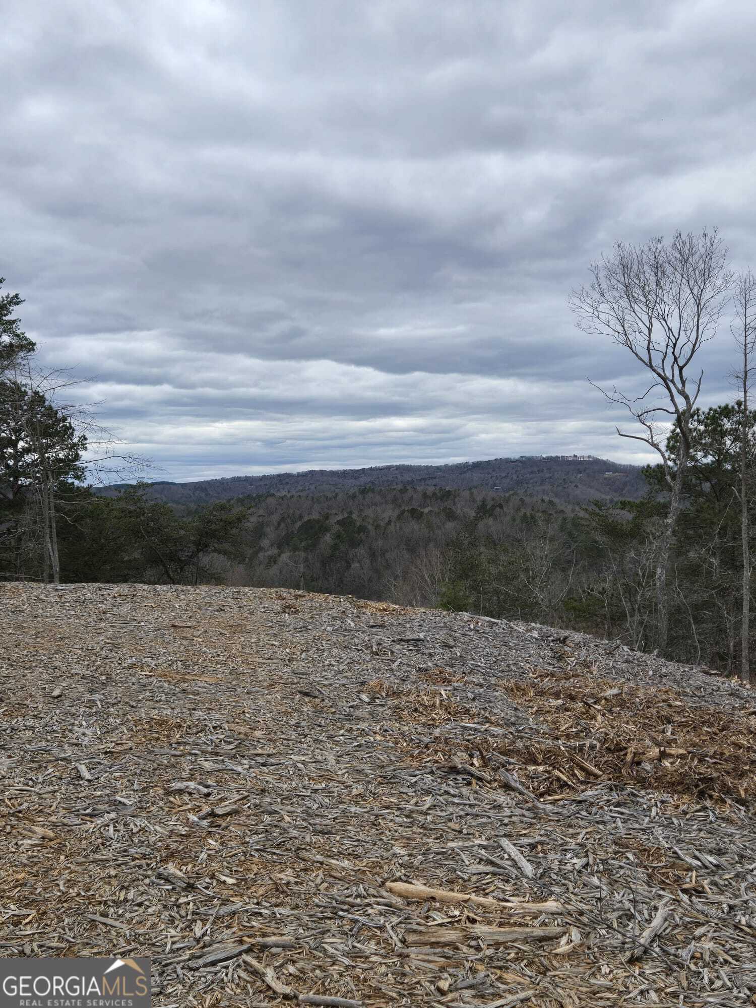 0 Canoe Way Talking Rock GA 30175