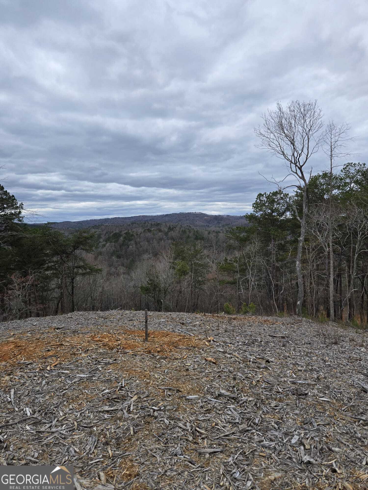 0 Canoe Way Talking Rock GA 30175