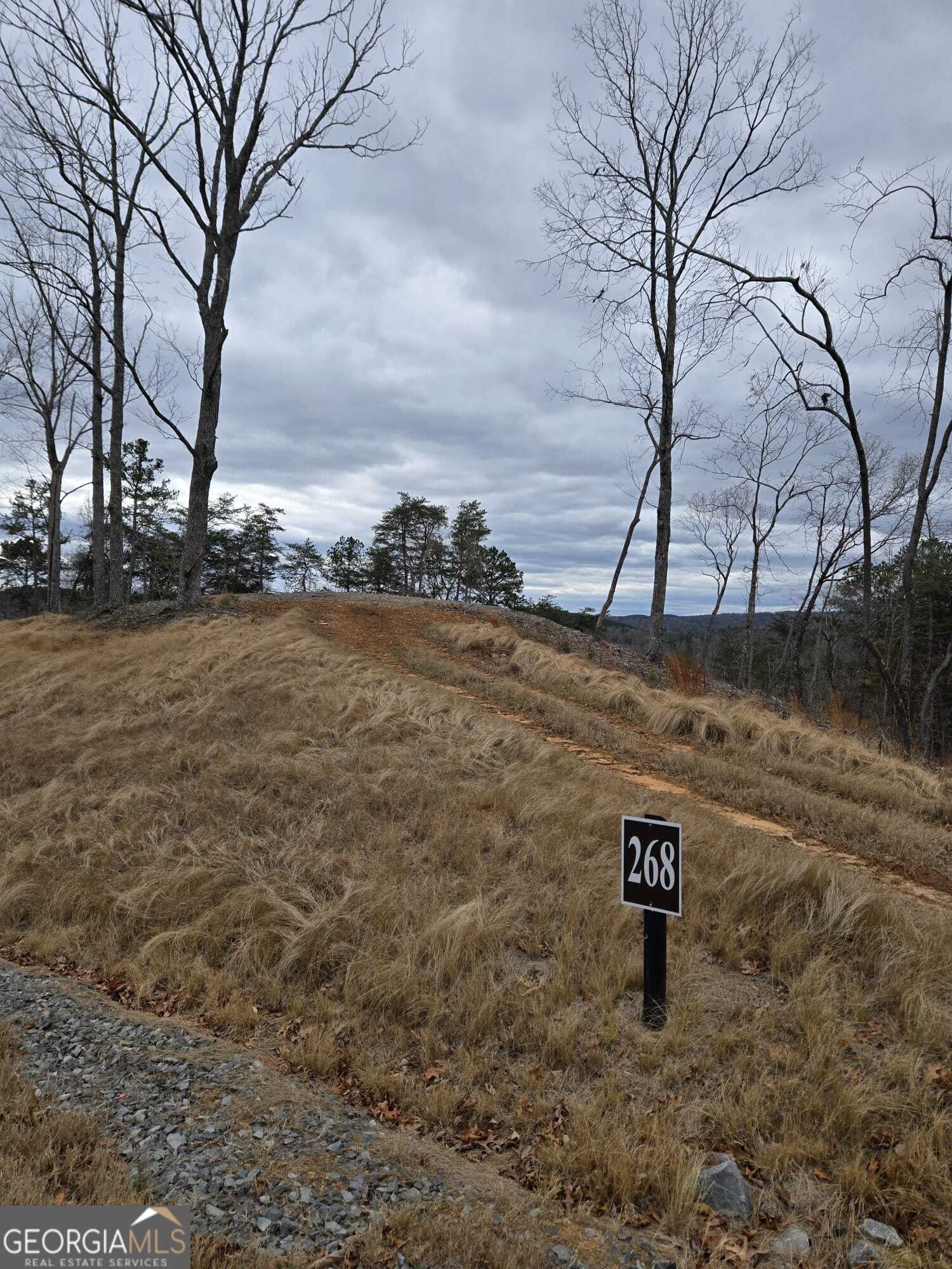 0 Canoe Way Talking Rock GA 30175