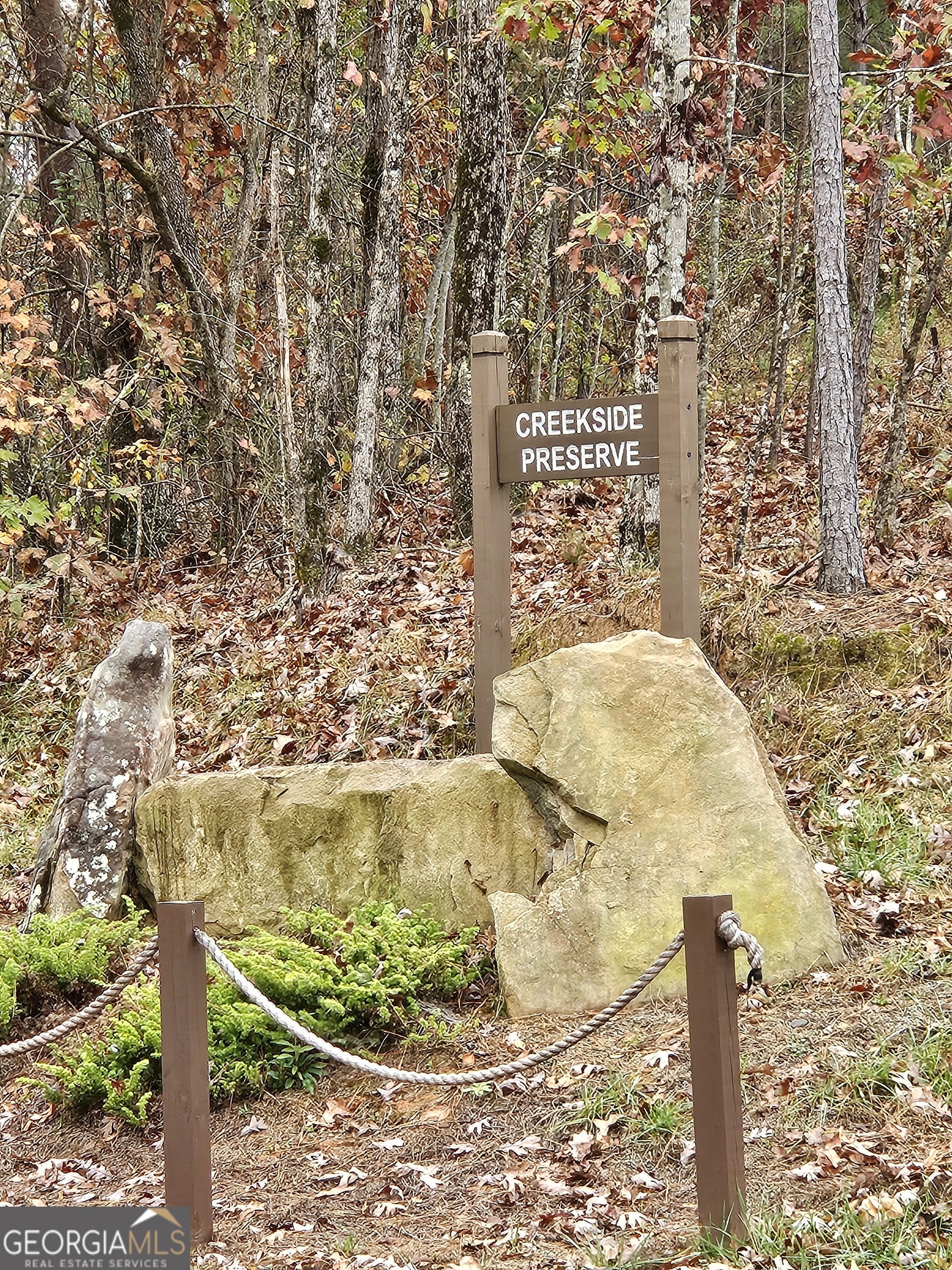0 Canoe Way Talking Rock GA 30175