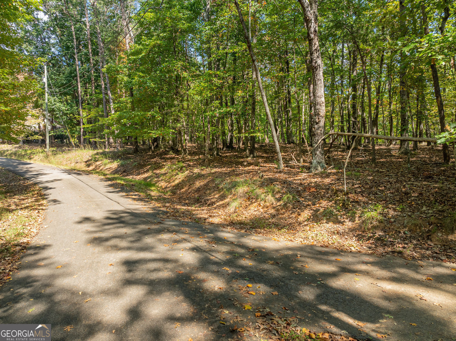 1205 Coachwhip Court Jasper GA 30143