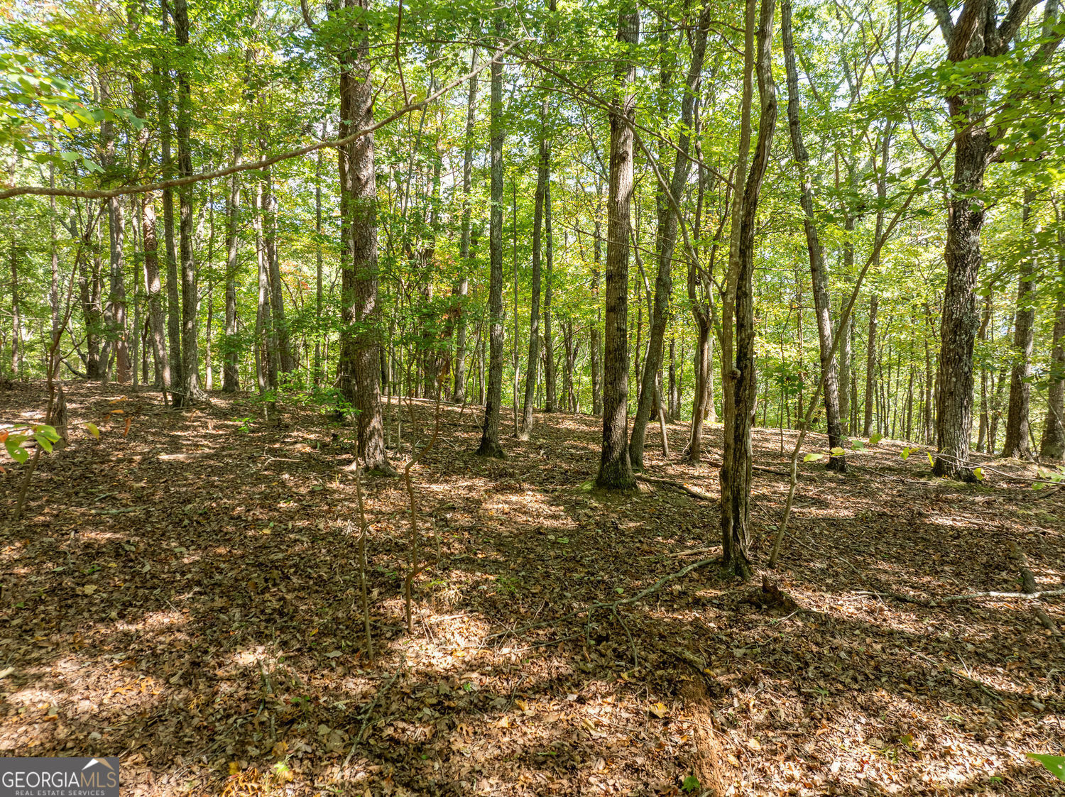 1205 Coachwhip Court Jasper GA 30143