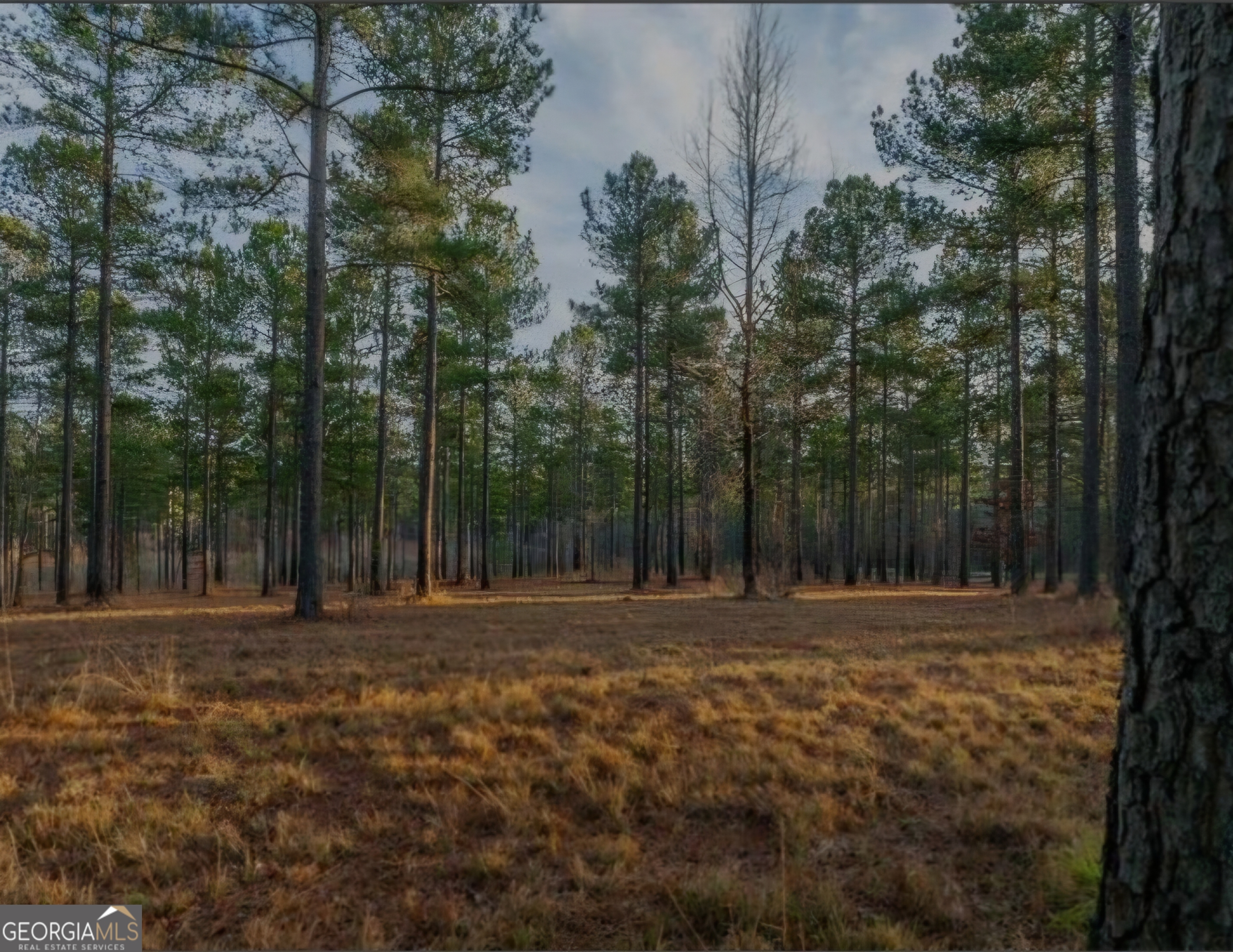 163 Overlook Drive Eatonton GA 31024
