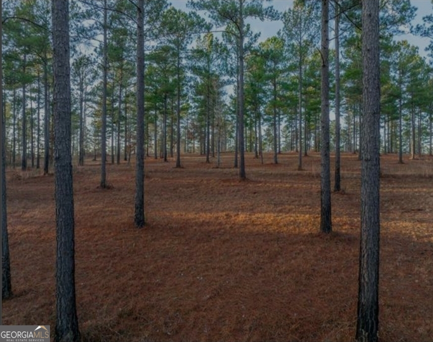 163 Overlook Drive Eatonton GA 31024