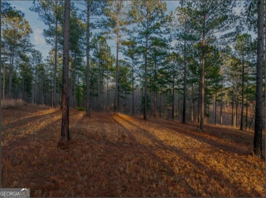 163 Overlook Drive Eatonton GA 31024