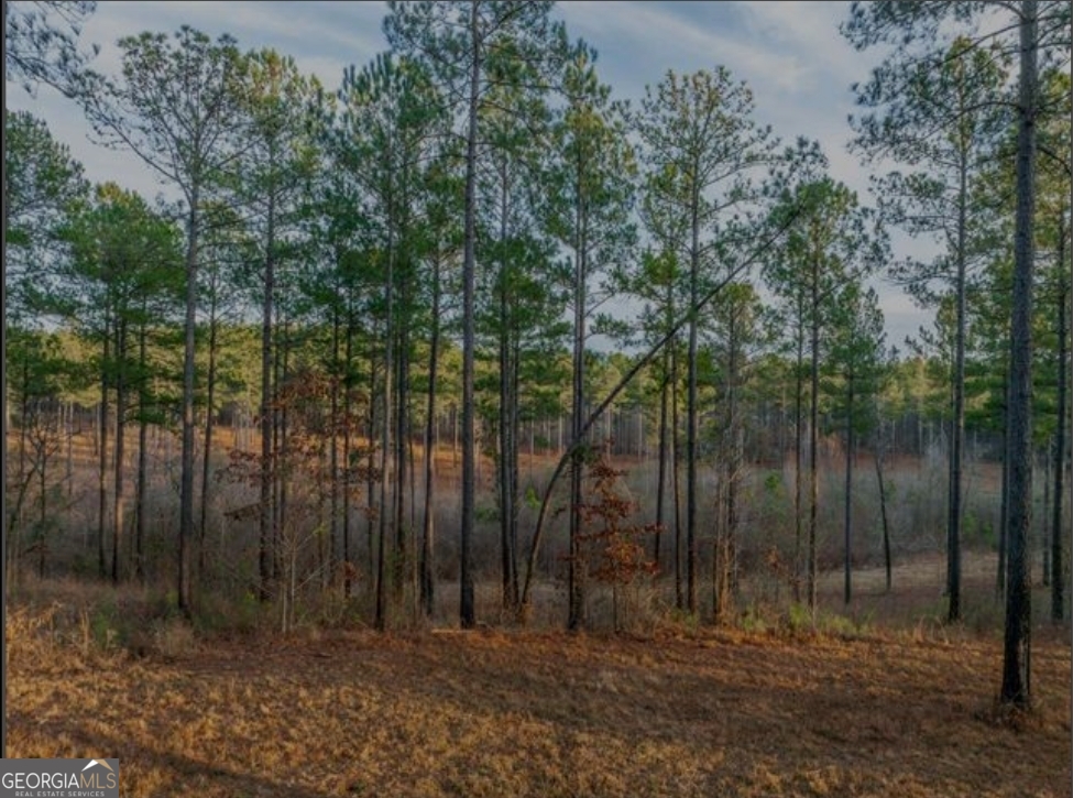163 Overlook Drive Eatonton GA 31024